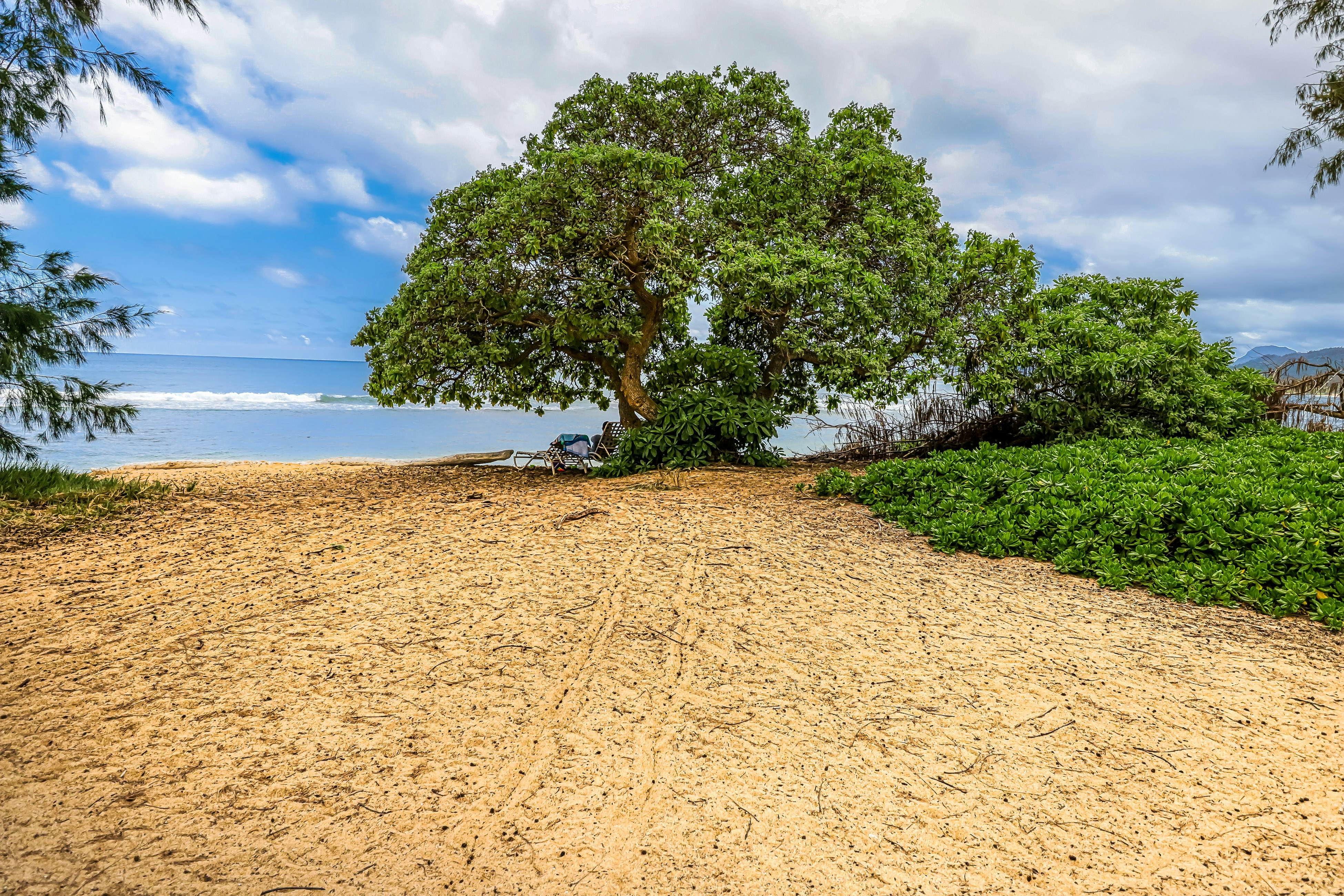 Islander on the Beach 367