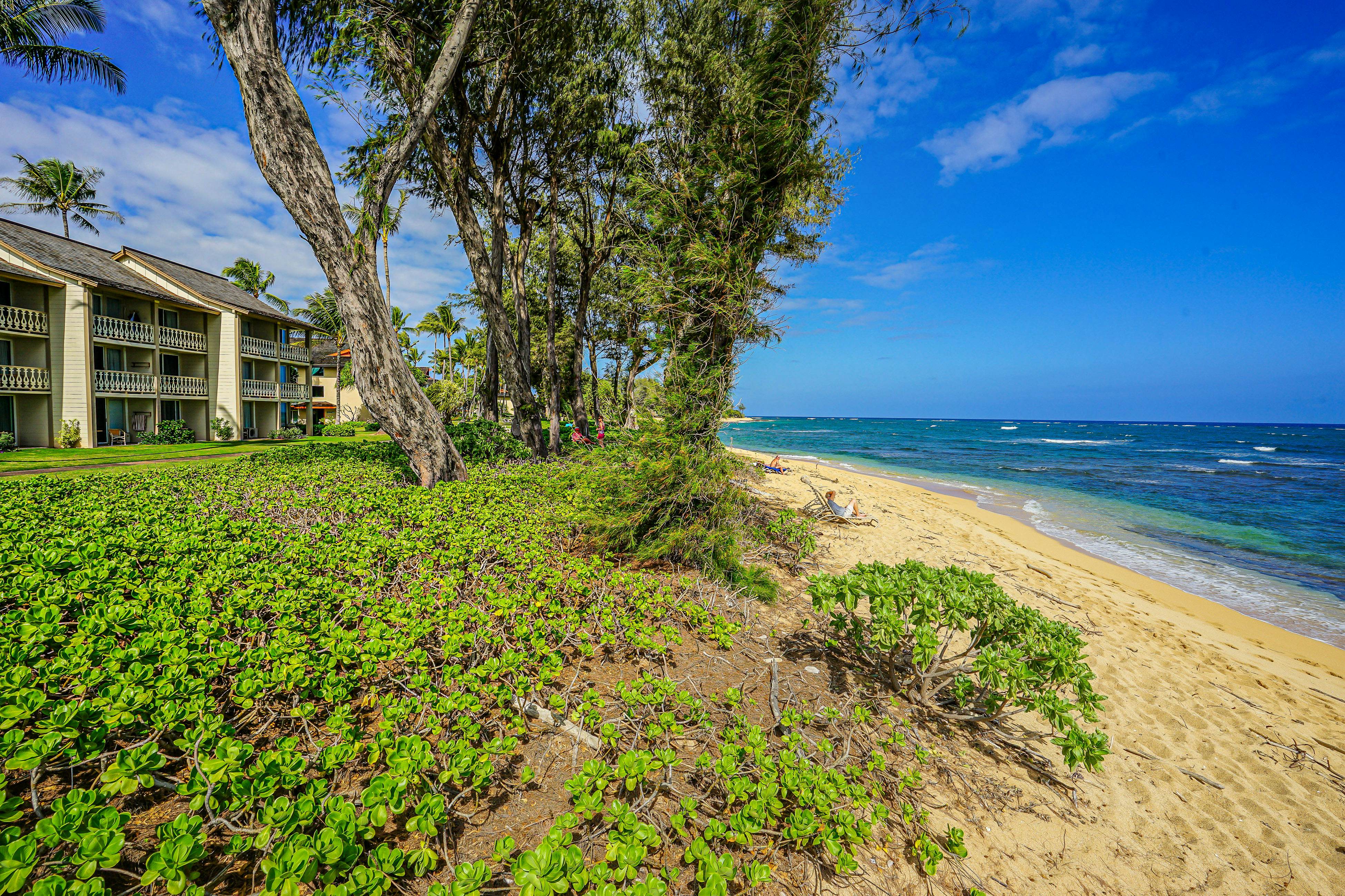 Islander on the Beach 235