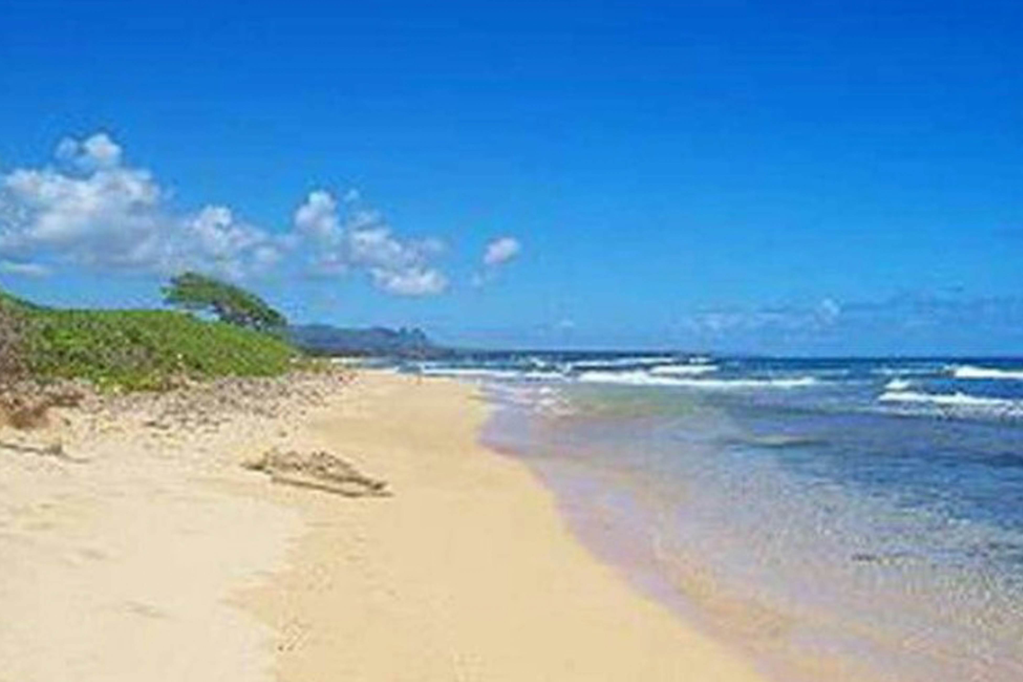 Kauai Beach Resort #3124