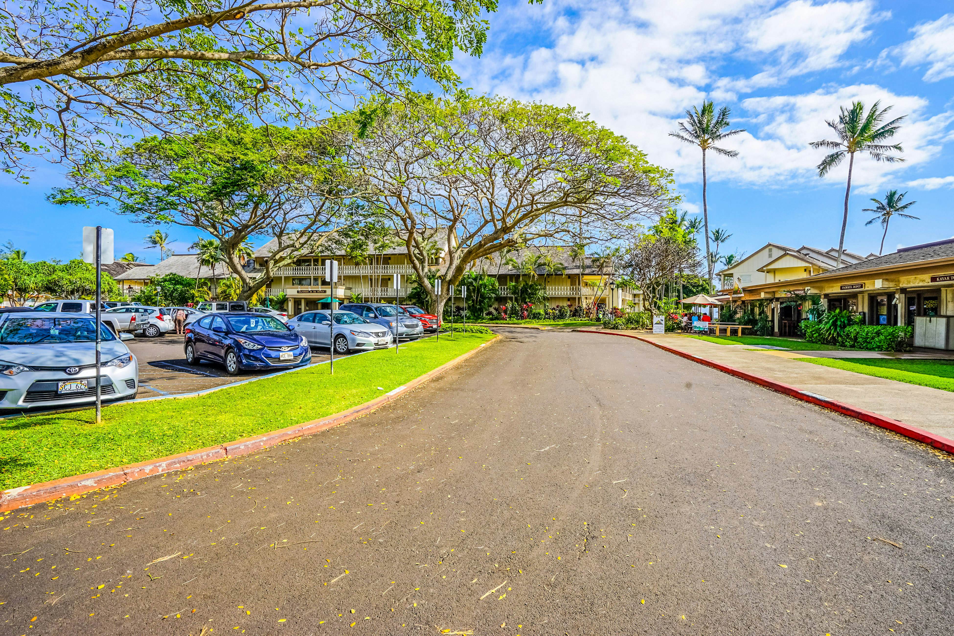 Islander on the Beach 157