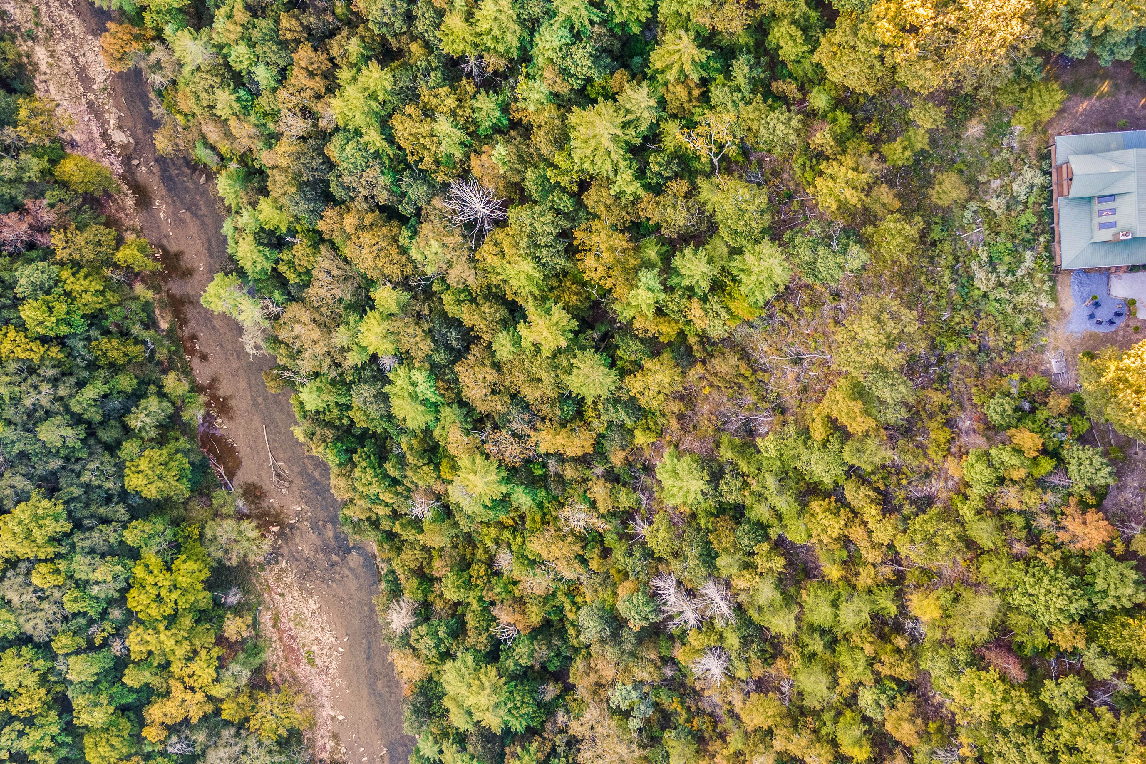 The Overlook at Talking Rock Creek Resort