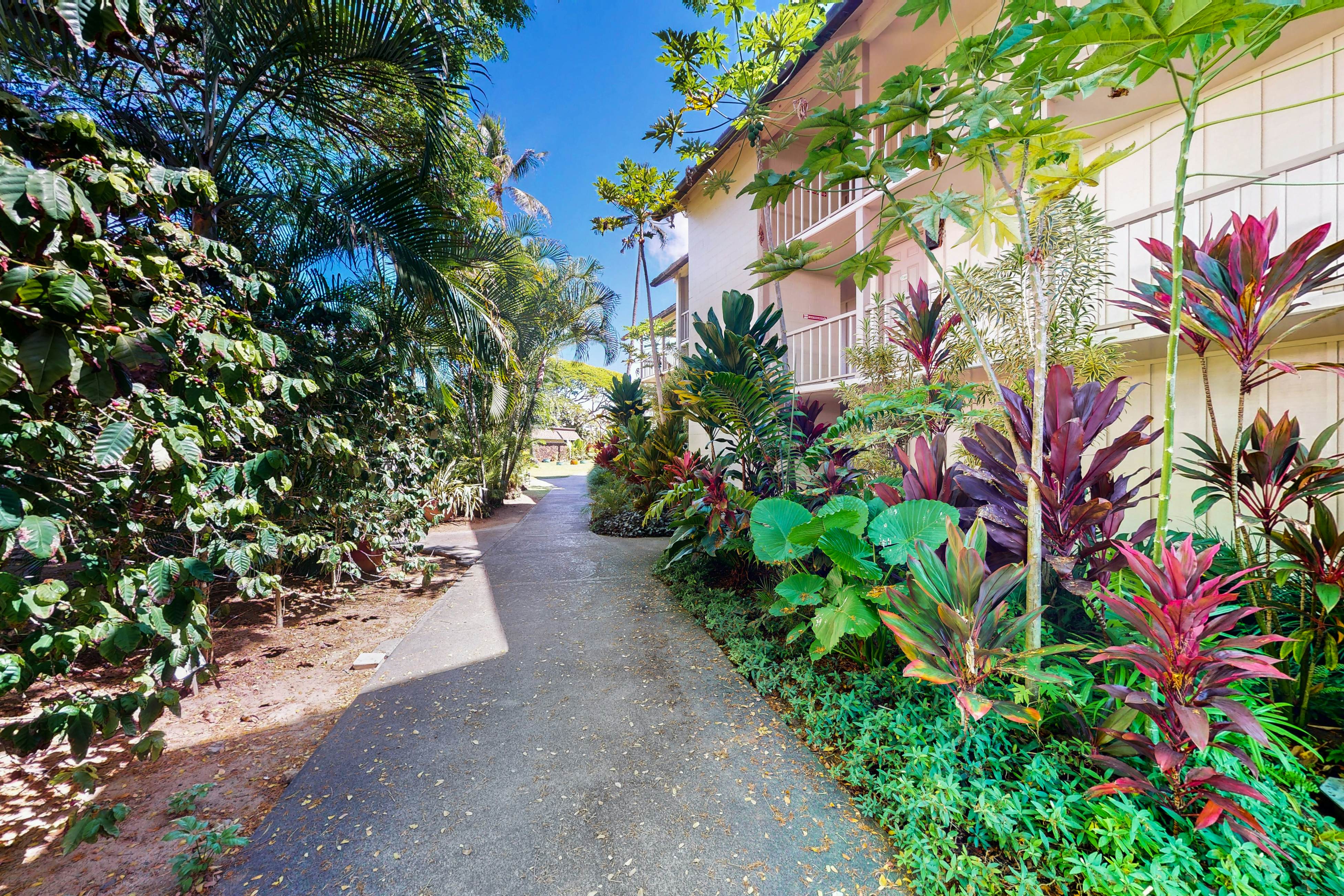 Islander on the Beach 170