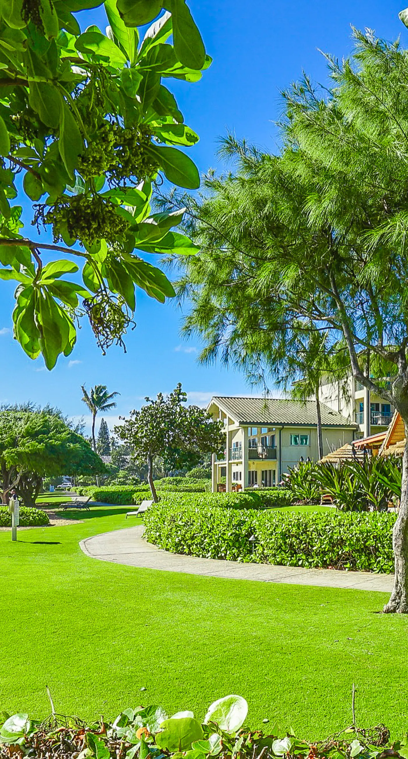 Waipouli Beach Resort H202 2 BD Kapaa, HI Vacation Rental Vacasa