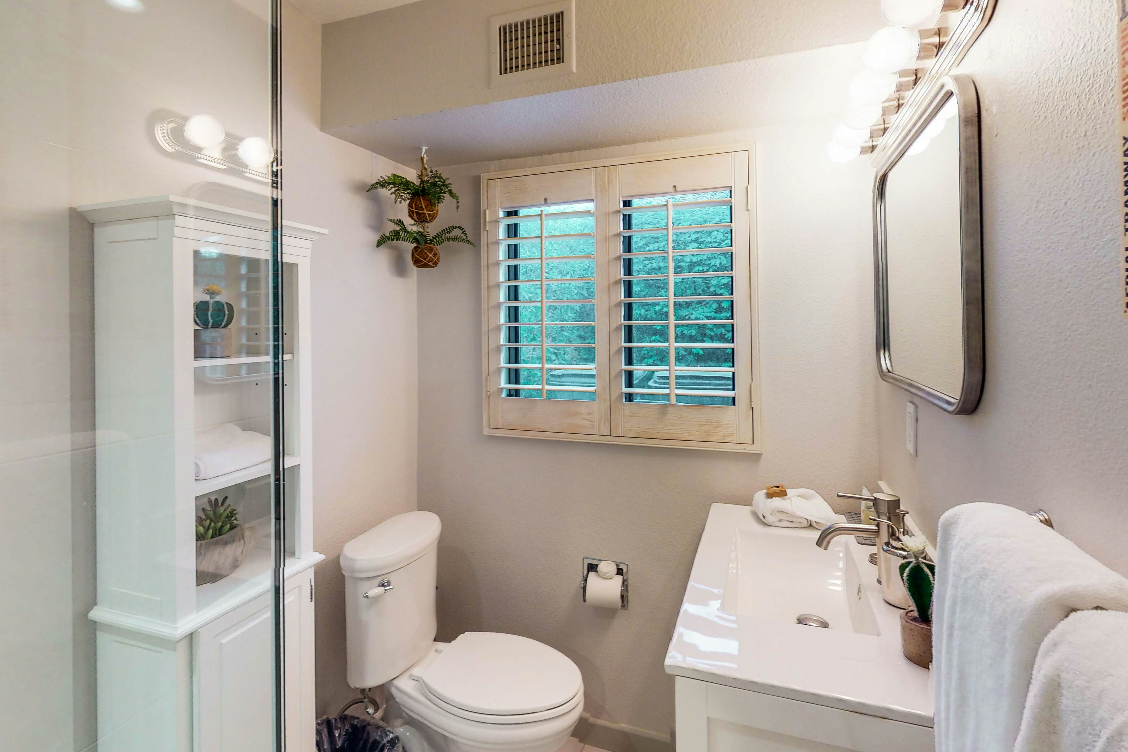 Adobe Barona Dream - 1497