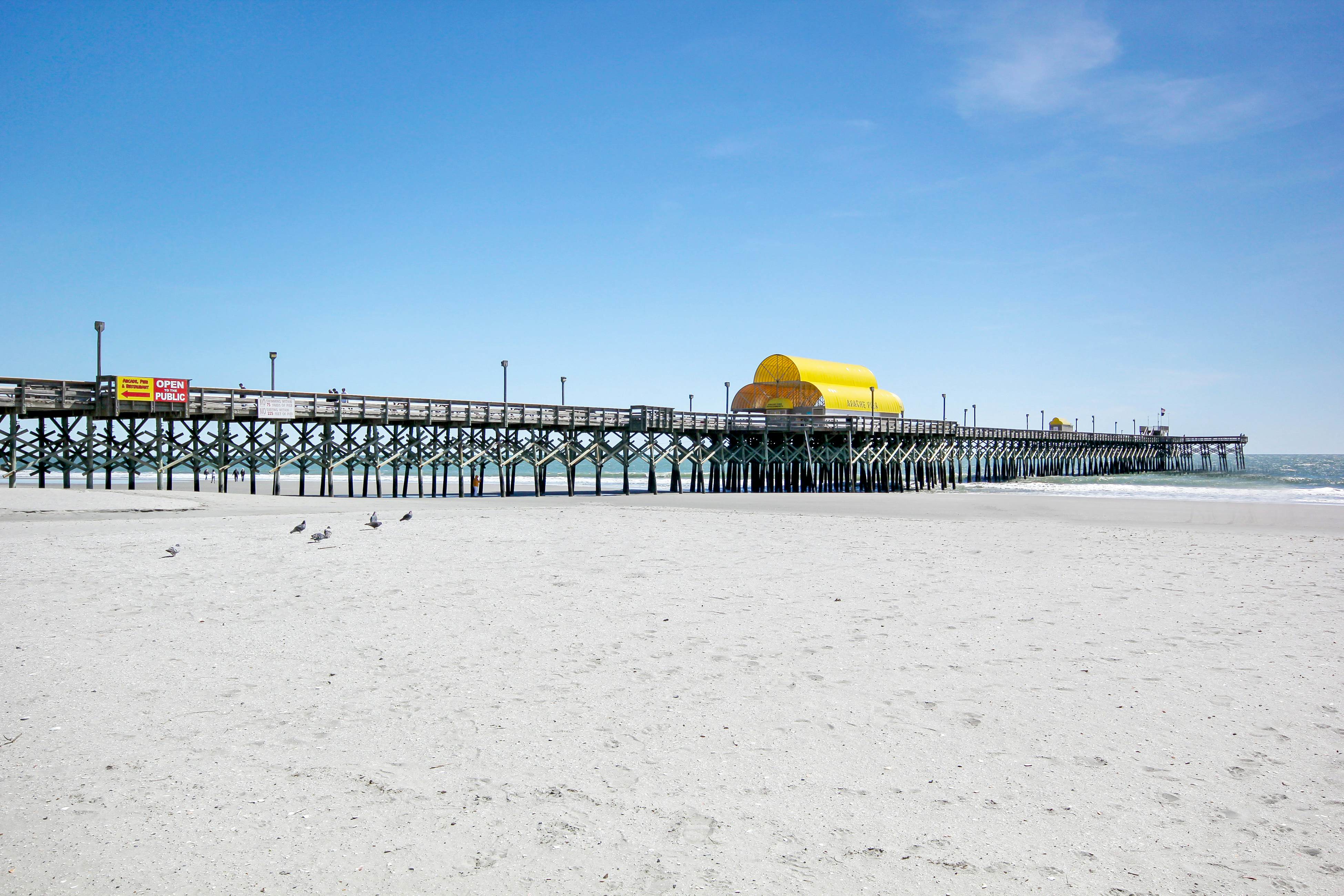 Arcadian Dunes 02-207