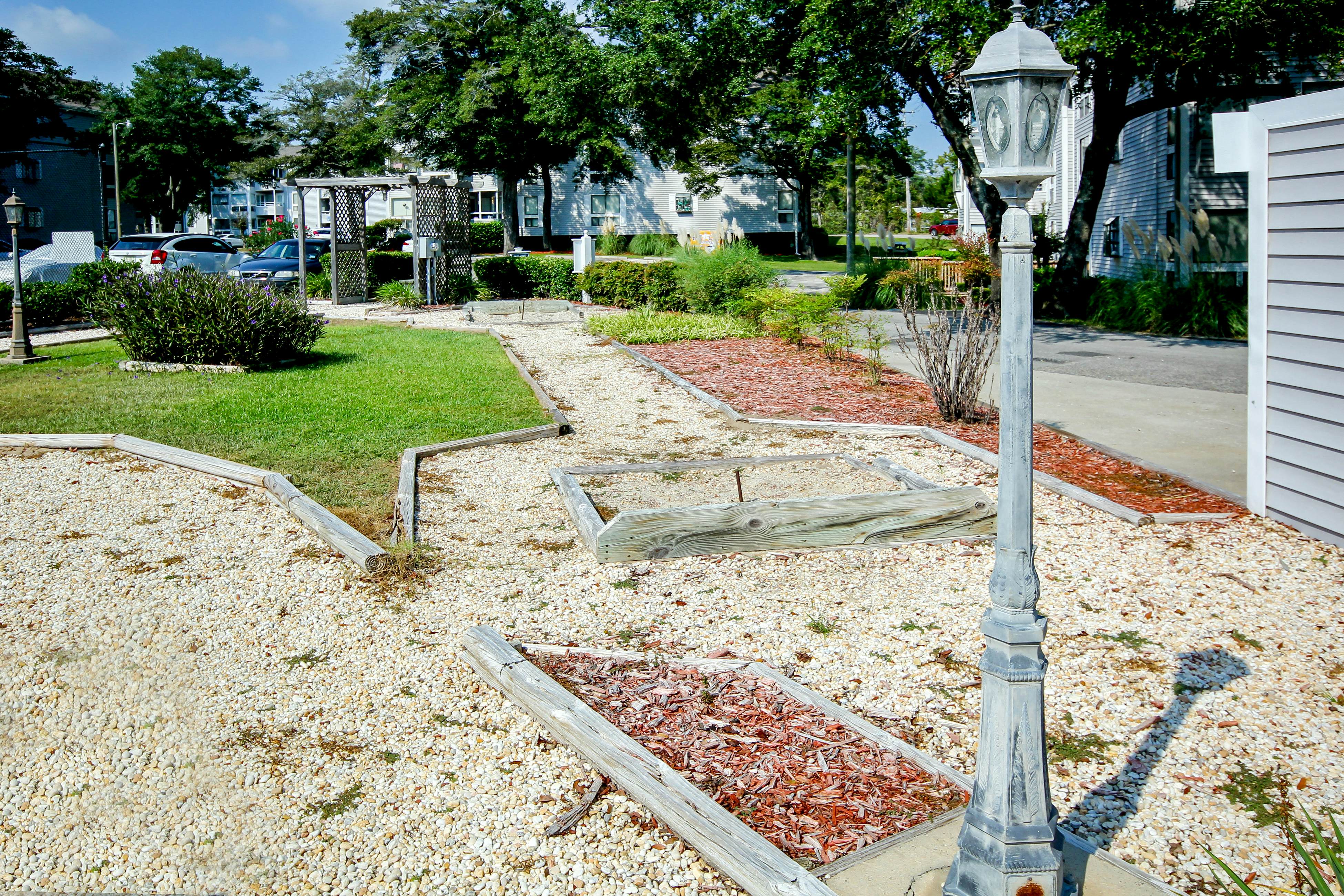 Arcadian Dunes 02-207