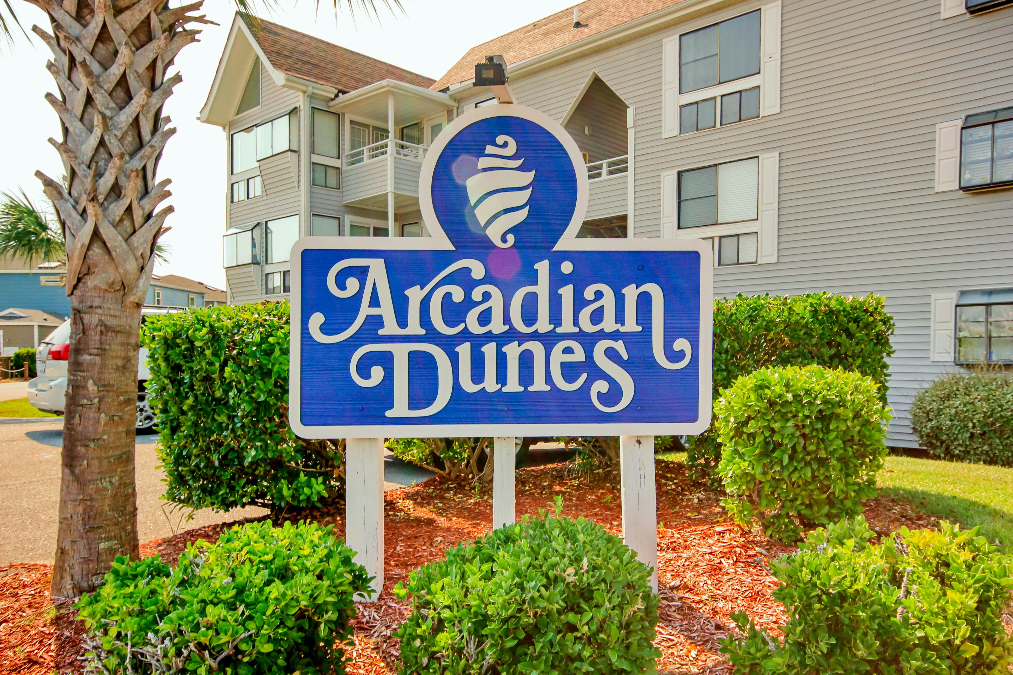 Arcadian Dunes 02-207