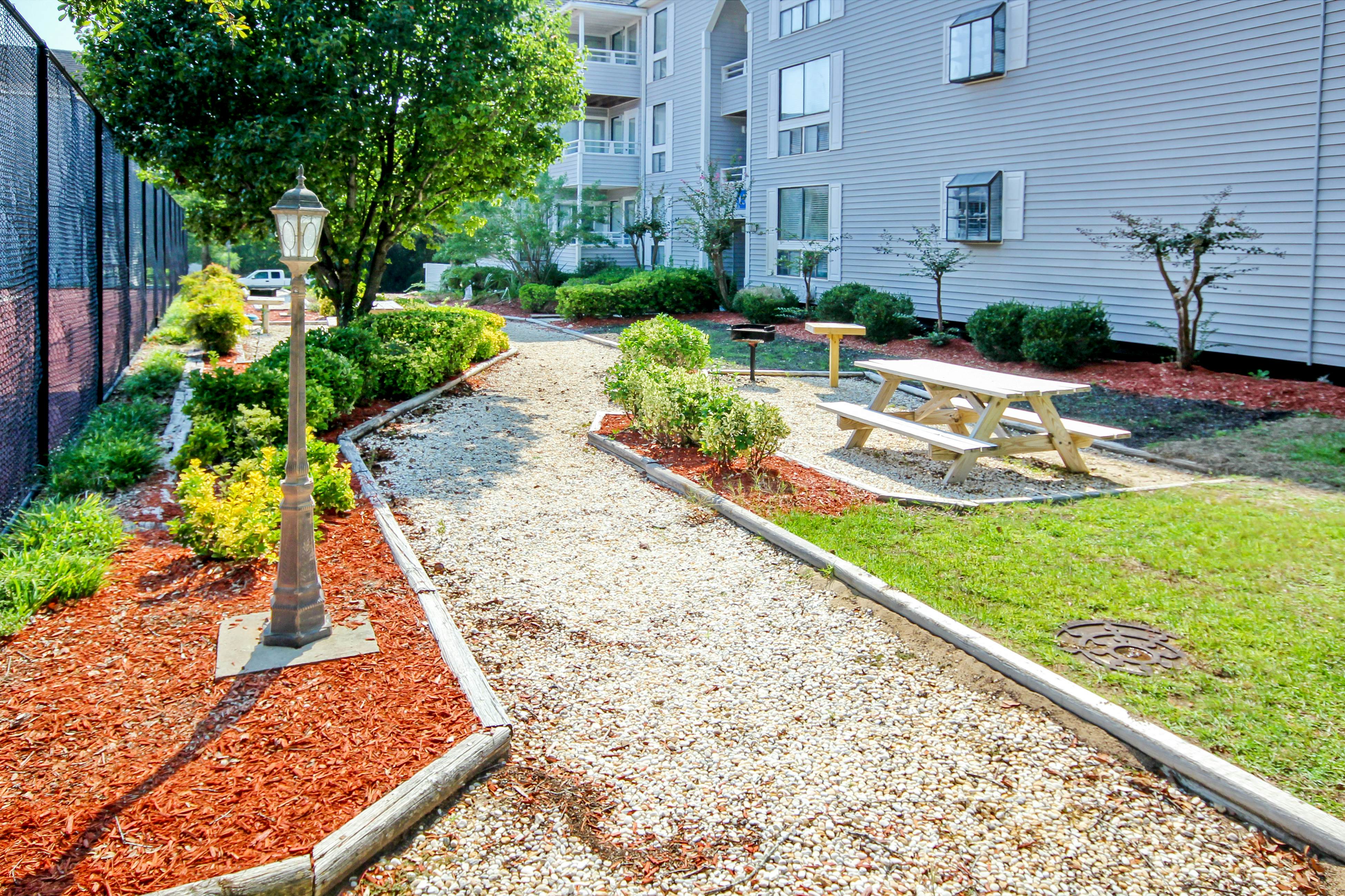 Arcadian Dunes 02-207