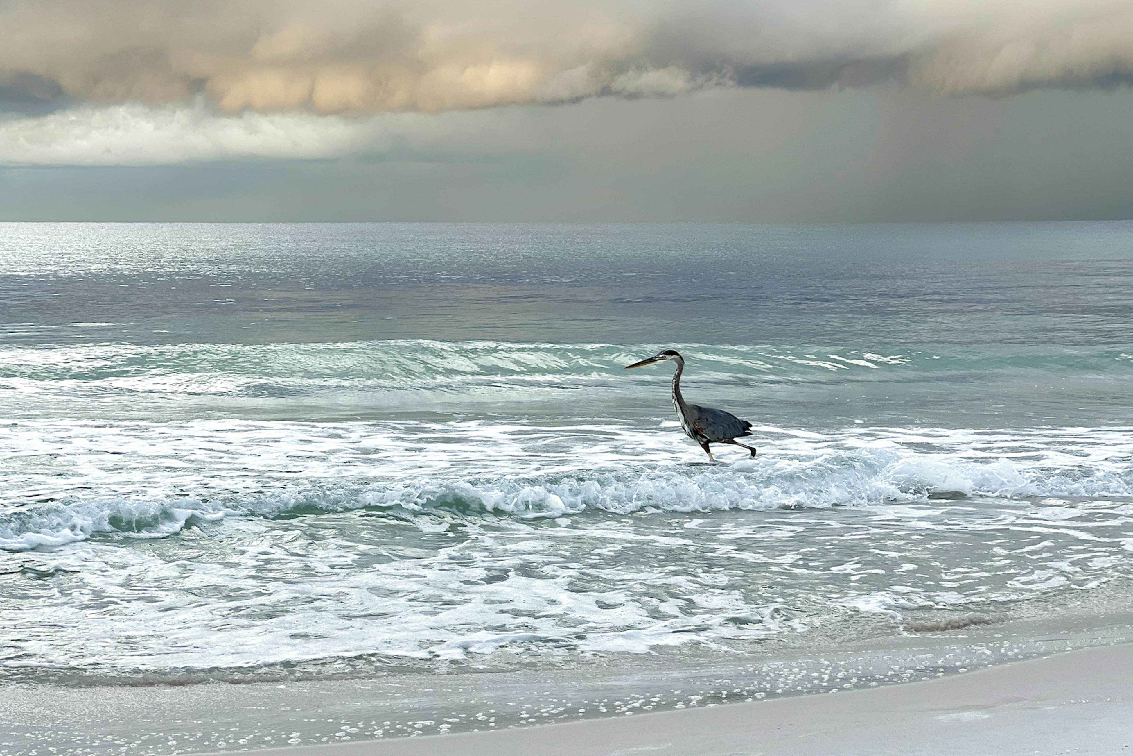 Sugar Reef Cottage-unit #1