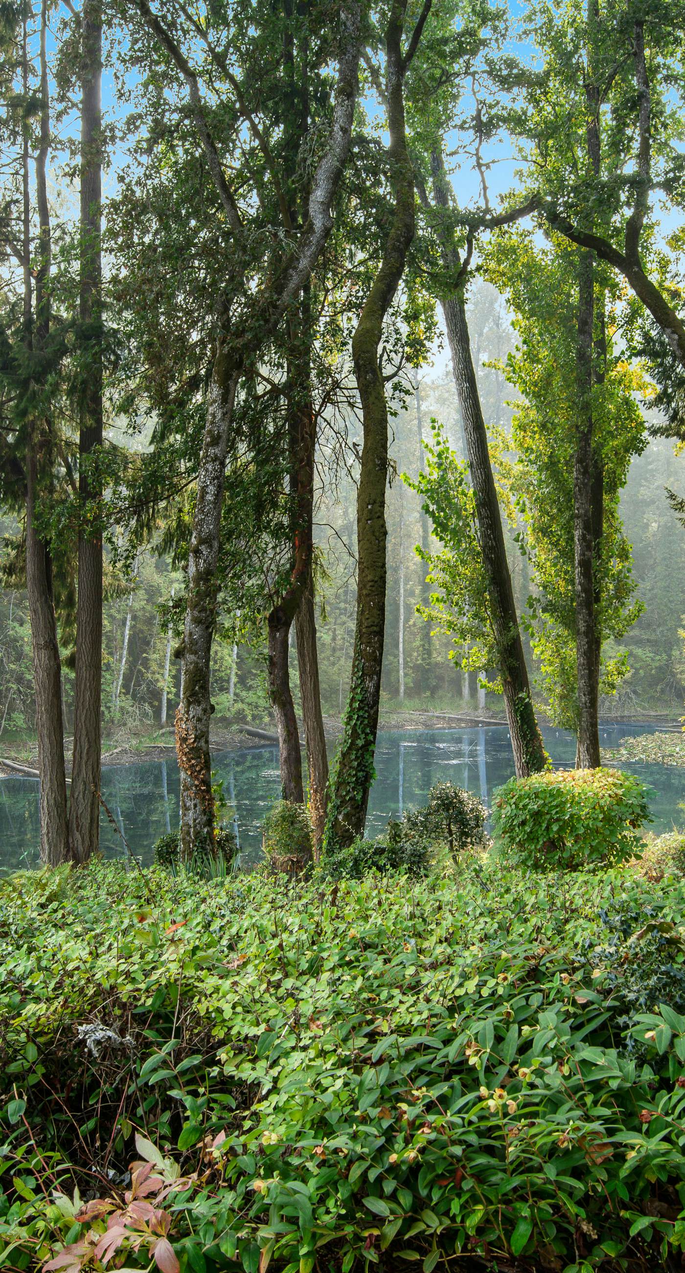 Peaceful Lakeside Retreat