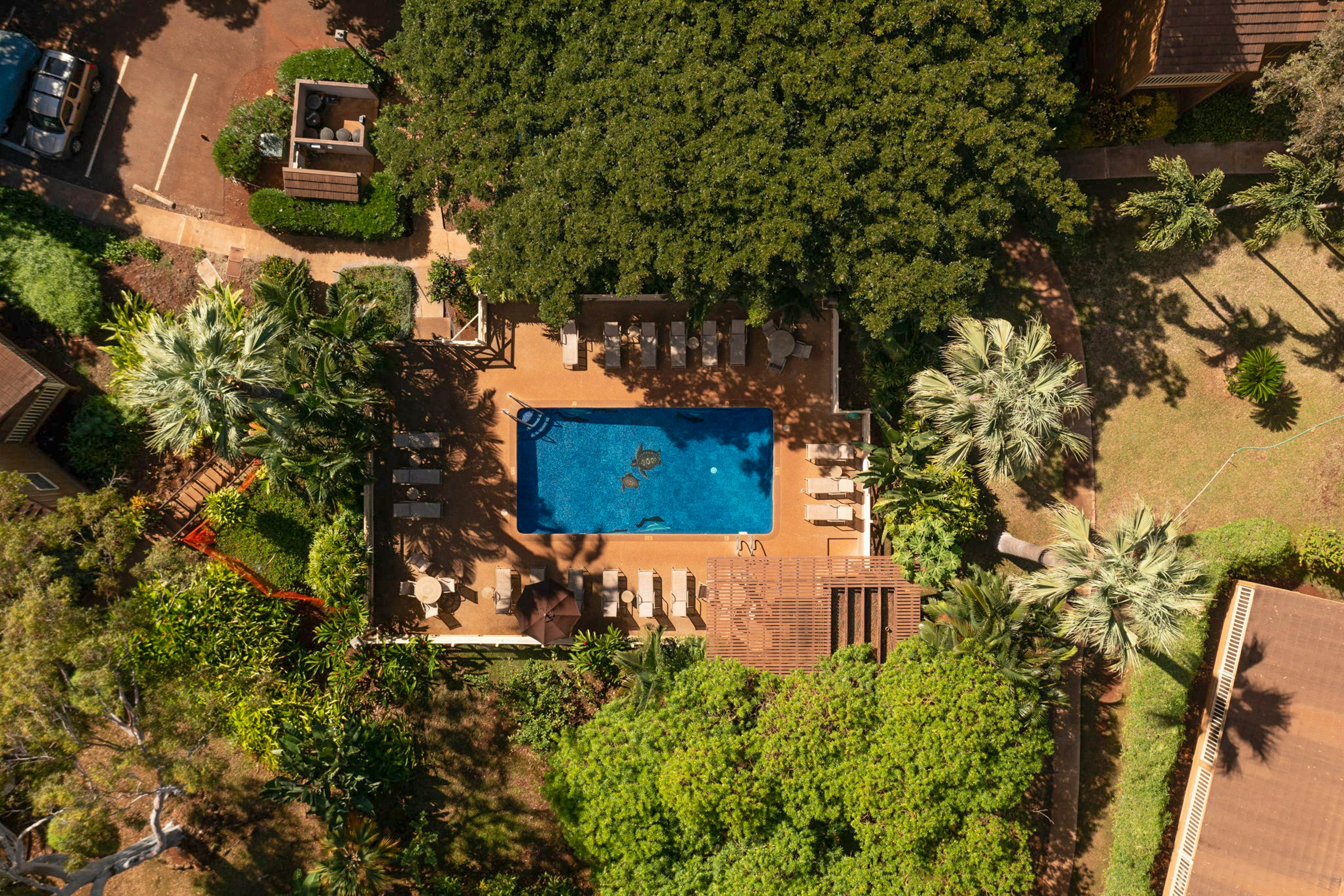 Paniolo Hale K4 - Moe Maluhia - A Place Of Peaceful Dreams