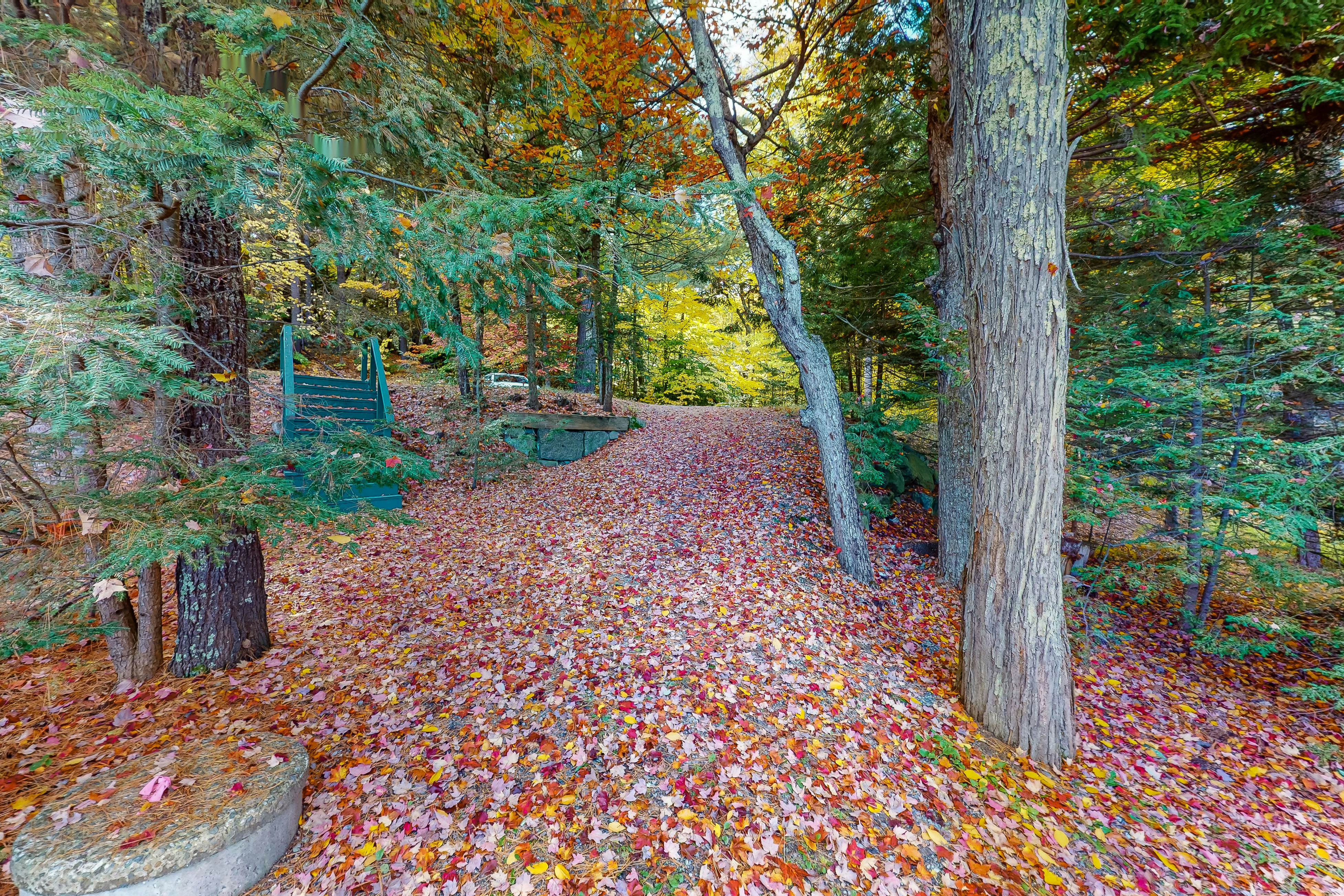 Lake Winnipesaukee's Charmer