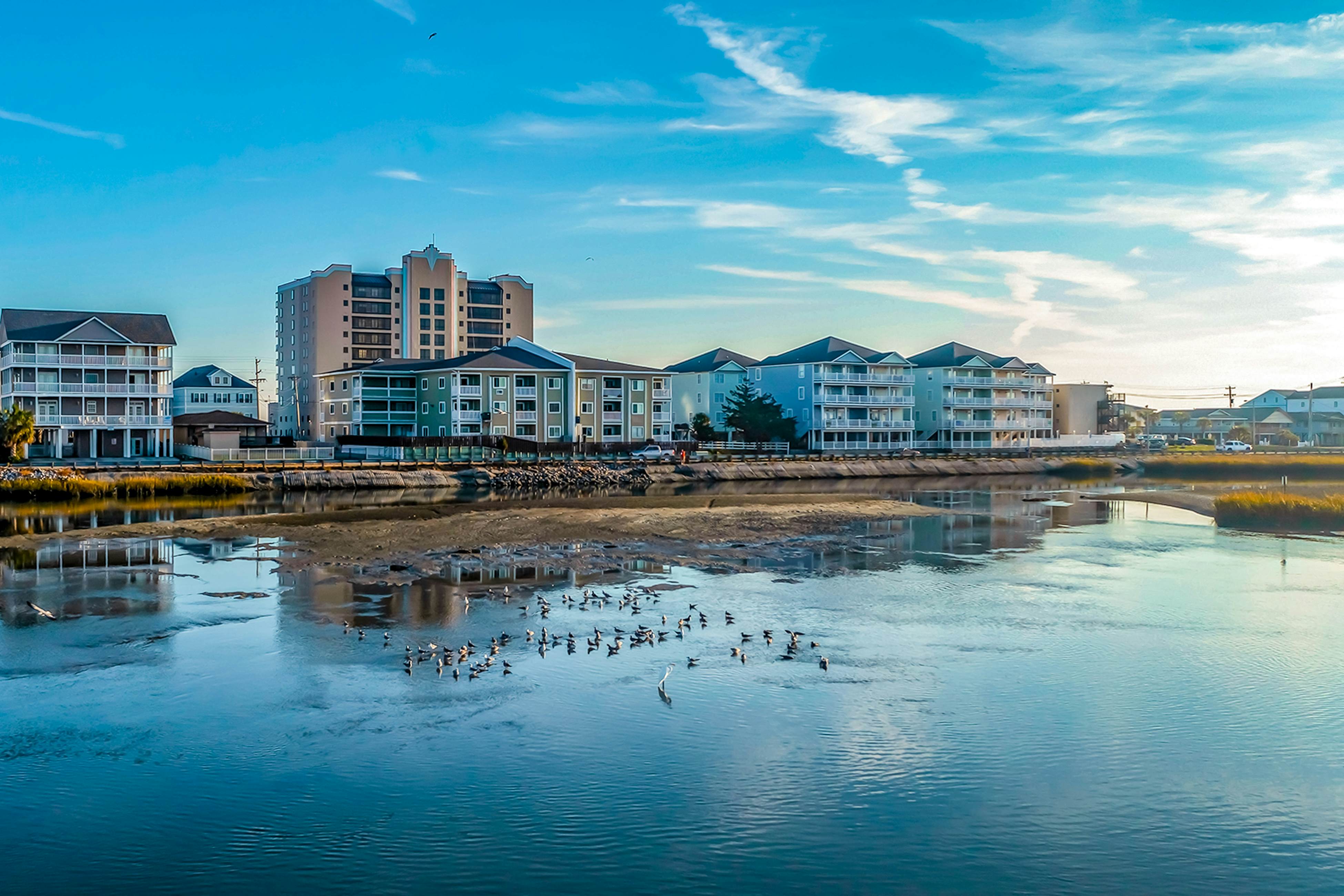 Cherry Grove Pelican's Watch