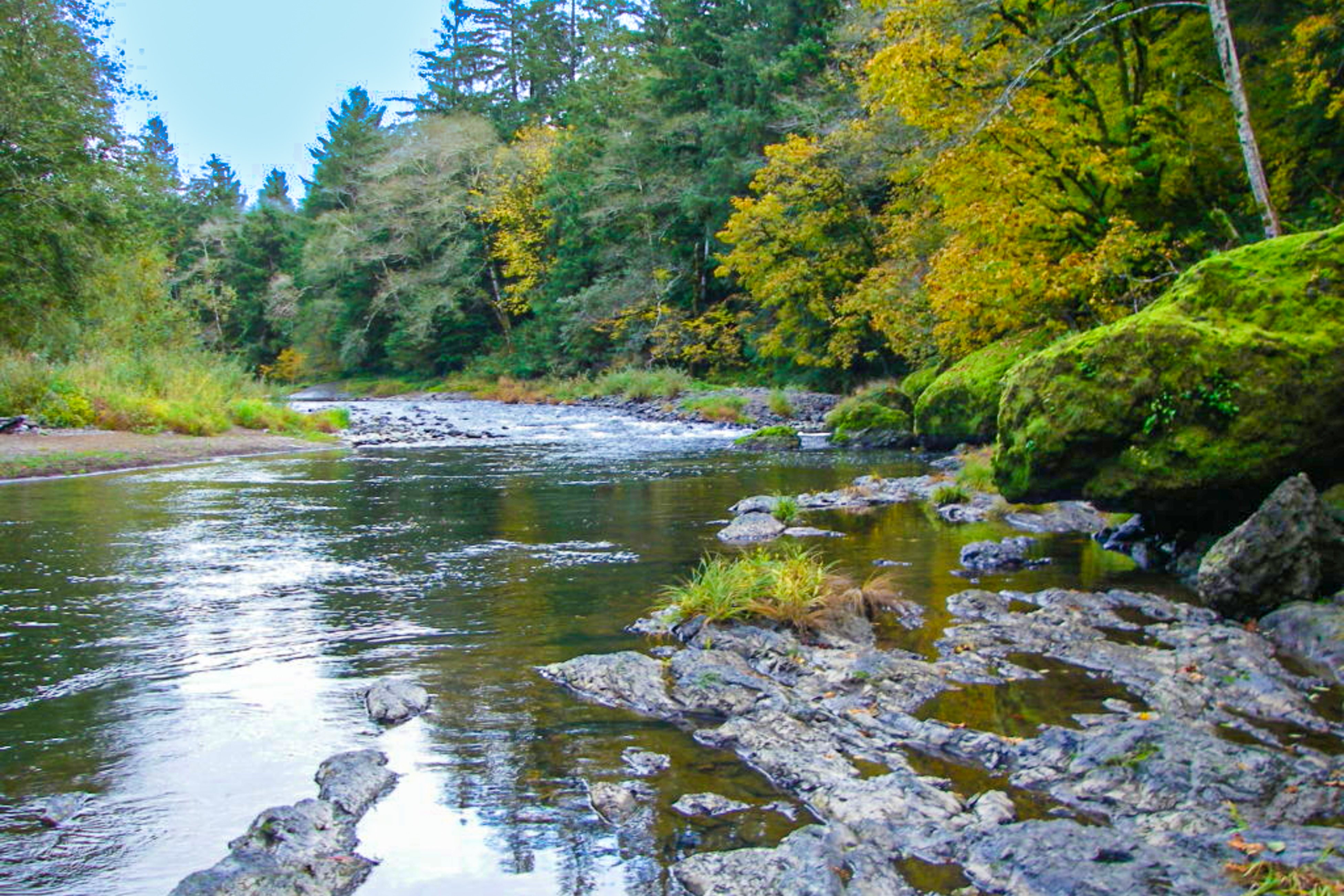 Trask River Ranch 3 BD Tillamook OR Vacation Rental Vacasa