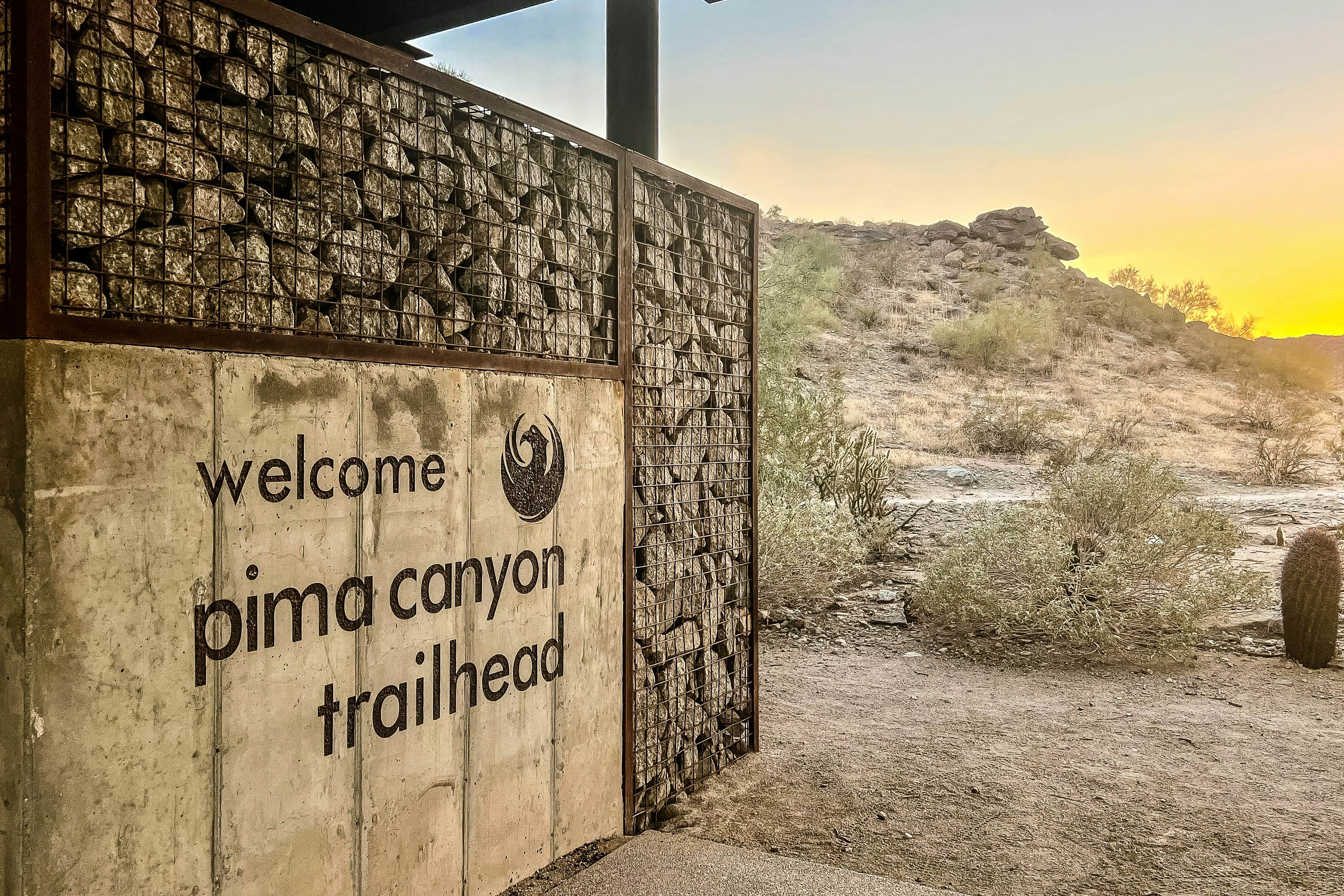 South Mountain Saguaro Siesta