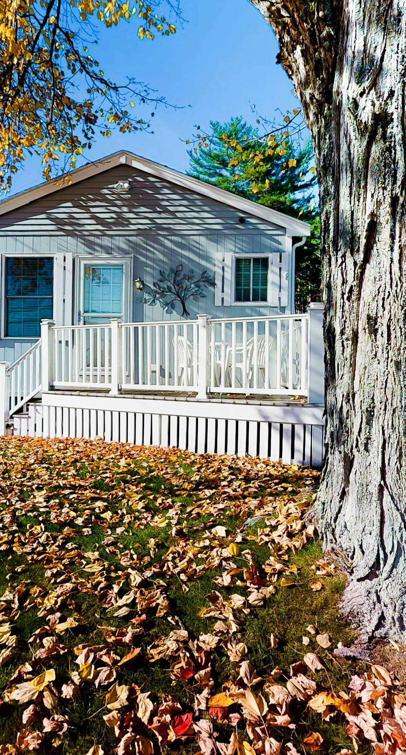 Eastwind Elegance
