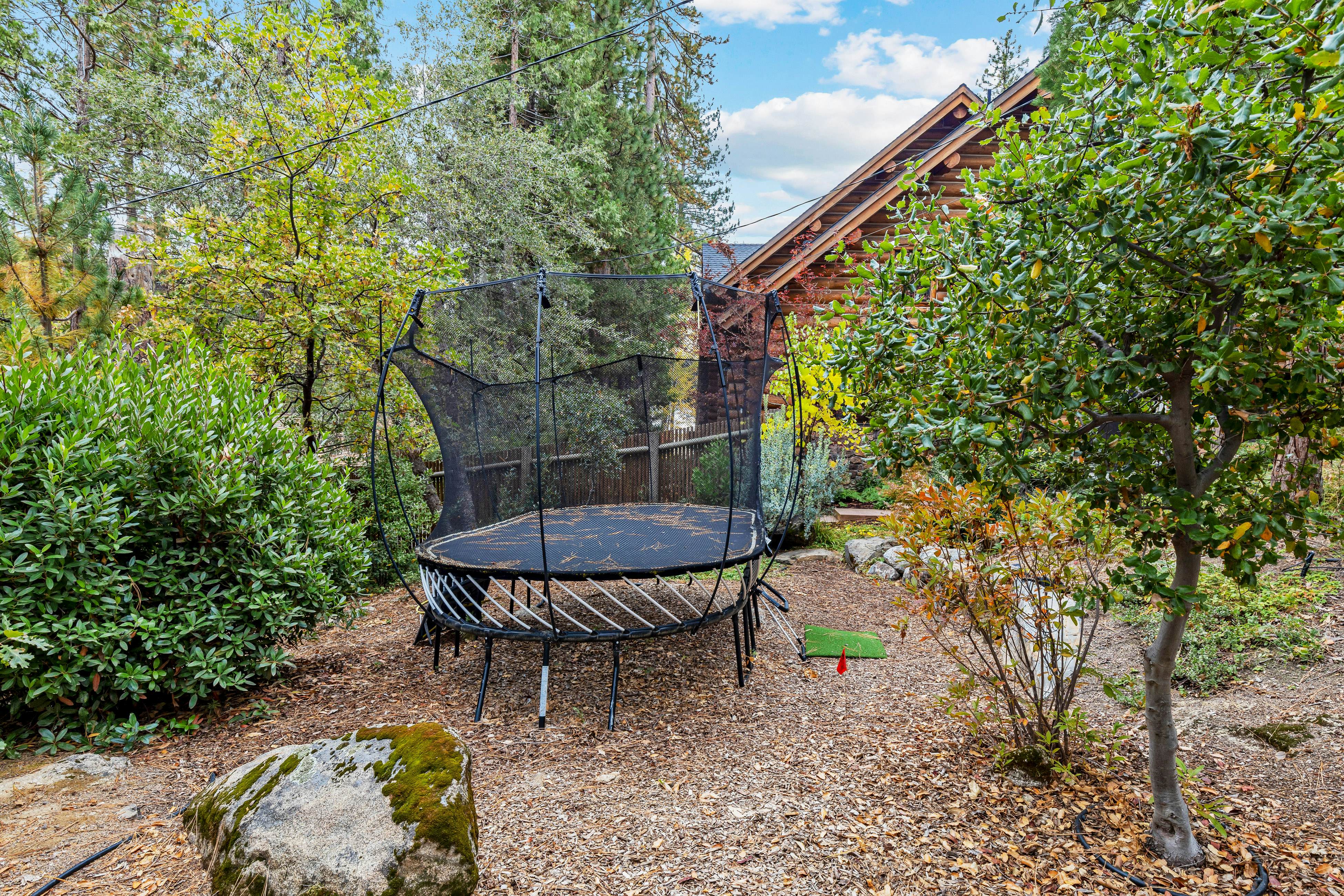 Willow Cove Log Cabin 