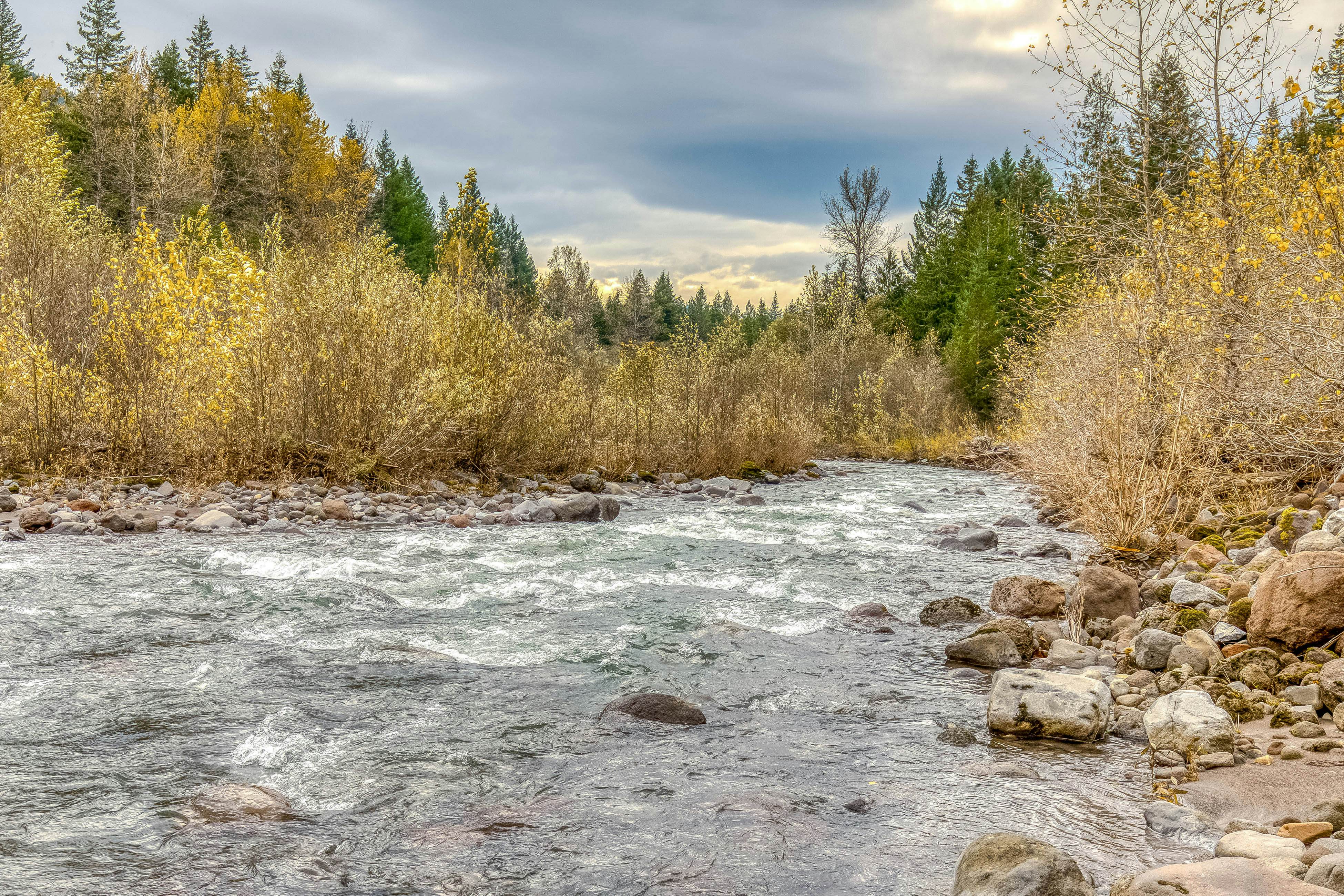 Sandy River Relaxation