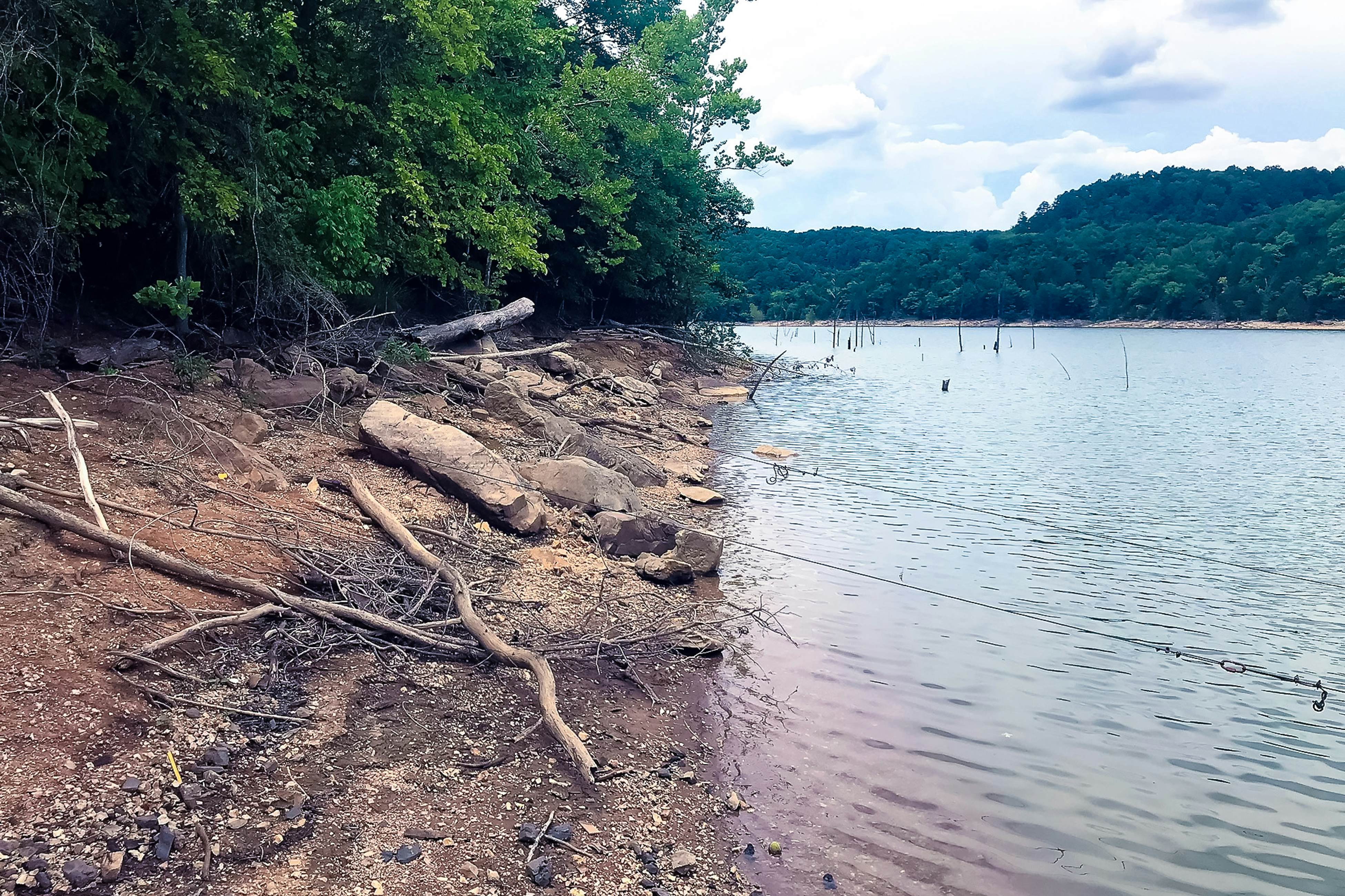 Lone Star Lake House