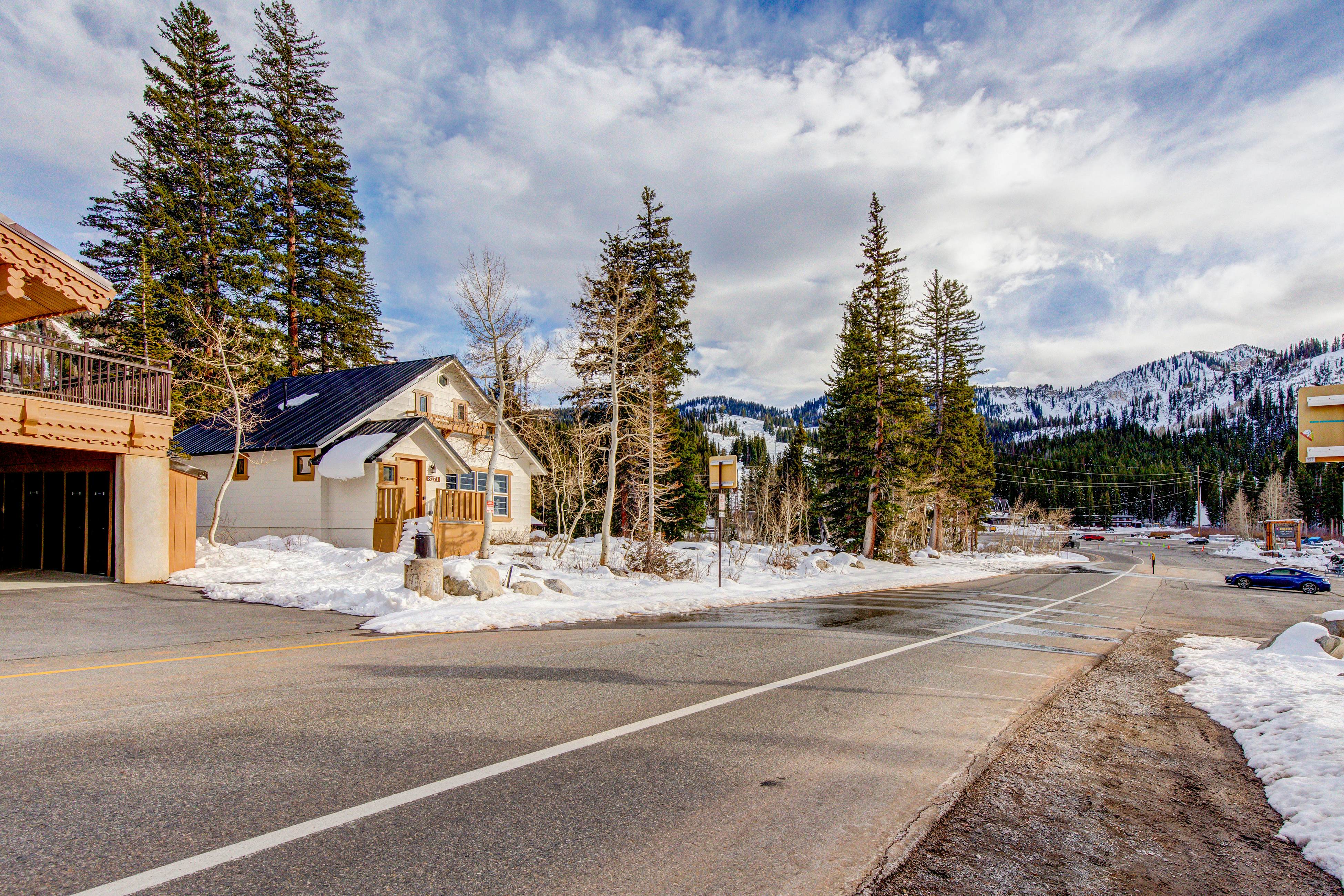 Brighton Sunflower Chalet 