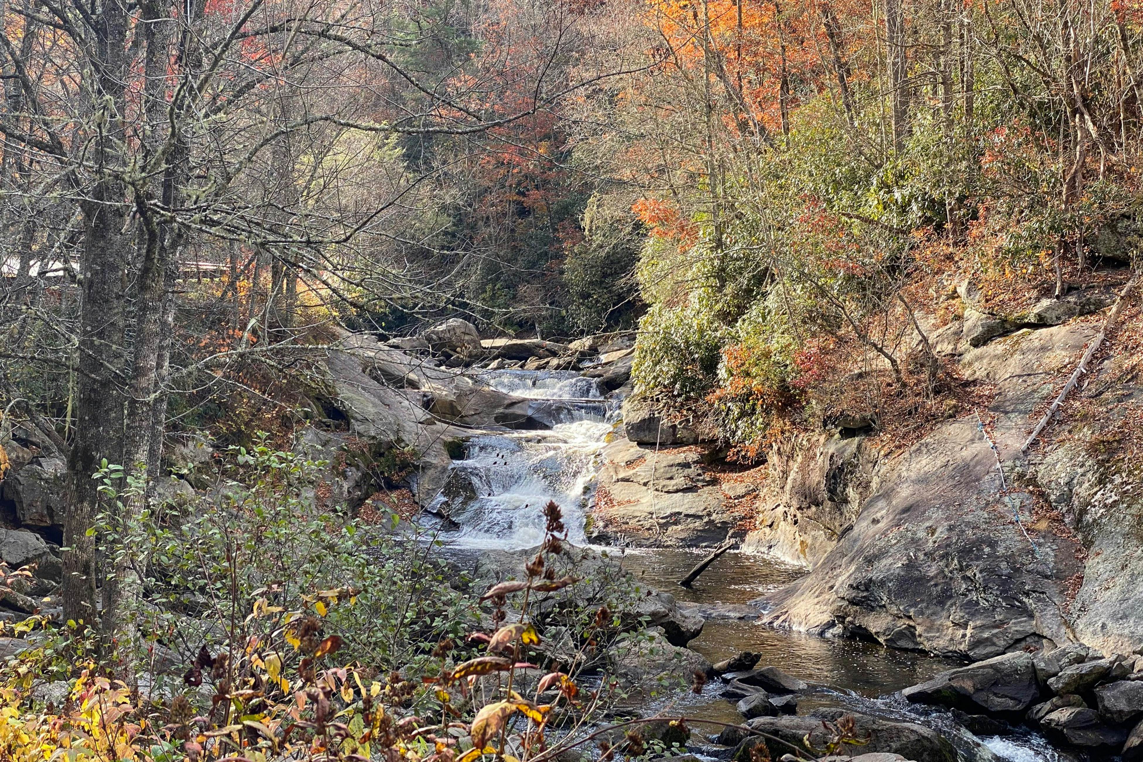 Chalet at Peek's Creek