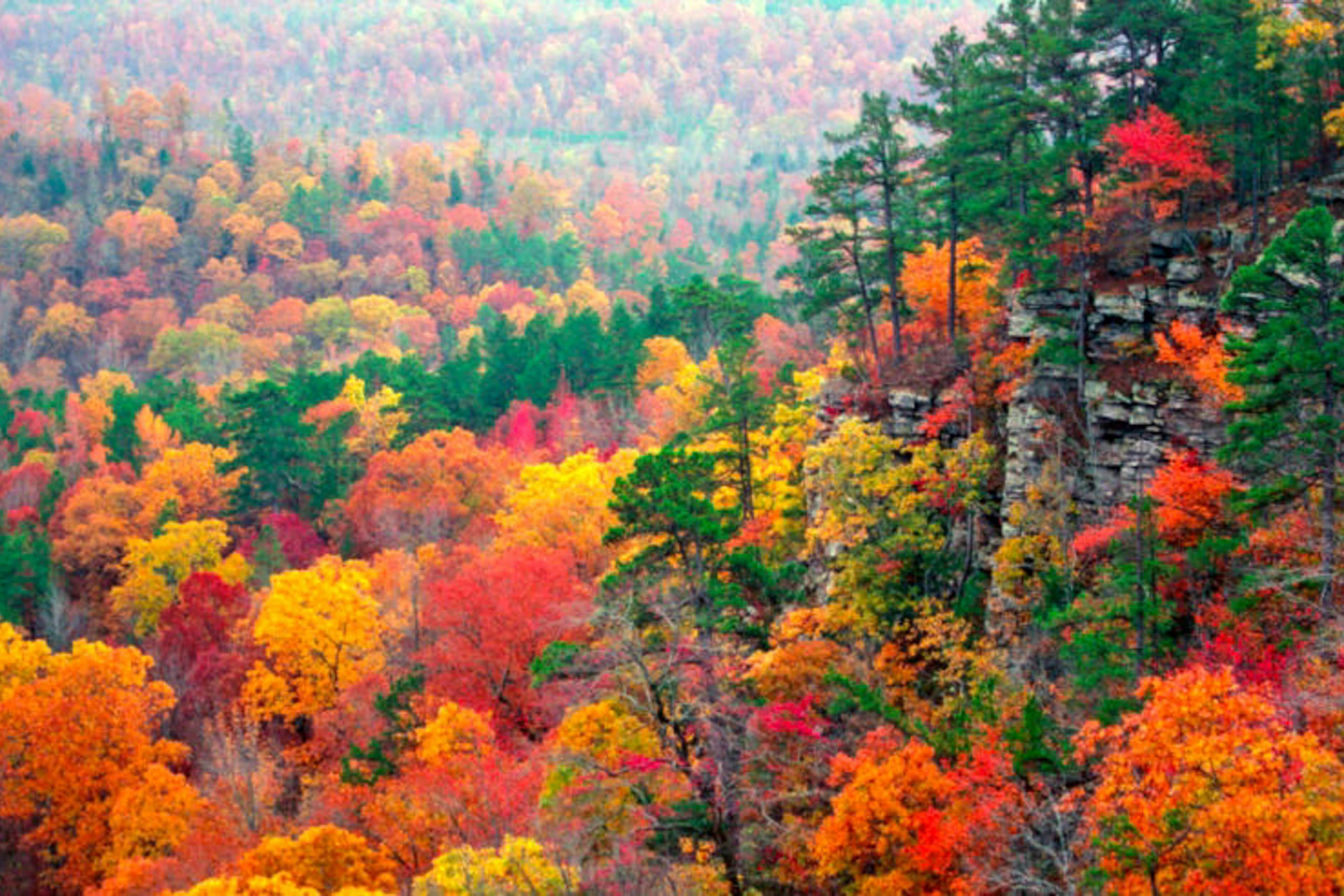 Lake Lucerne - Treehouse Cabin #01