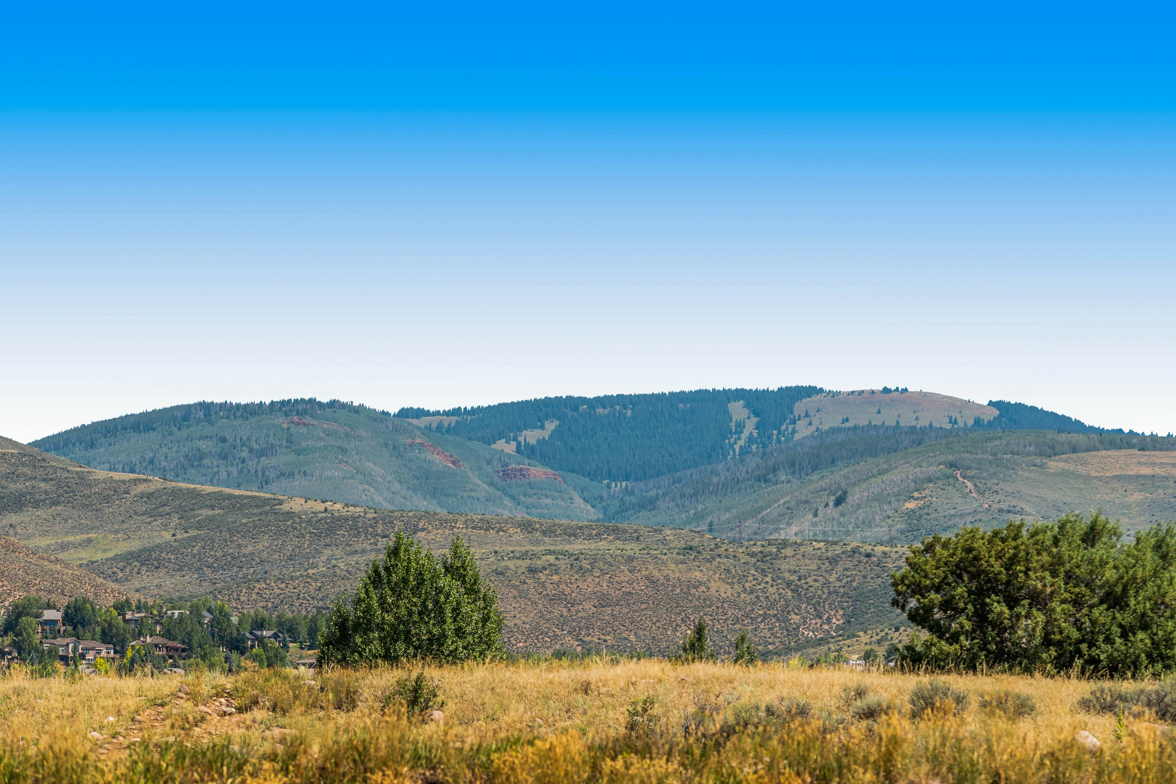 hidden image preload