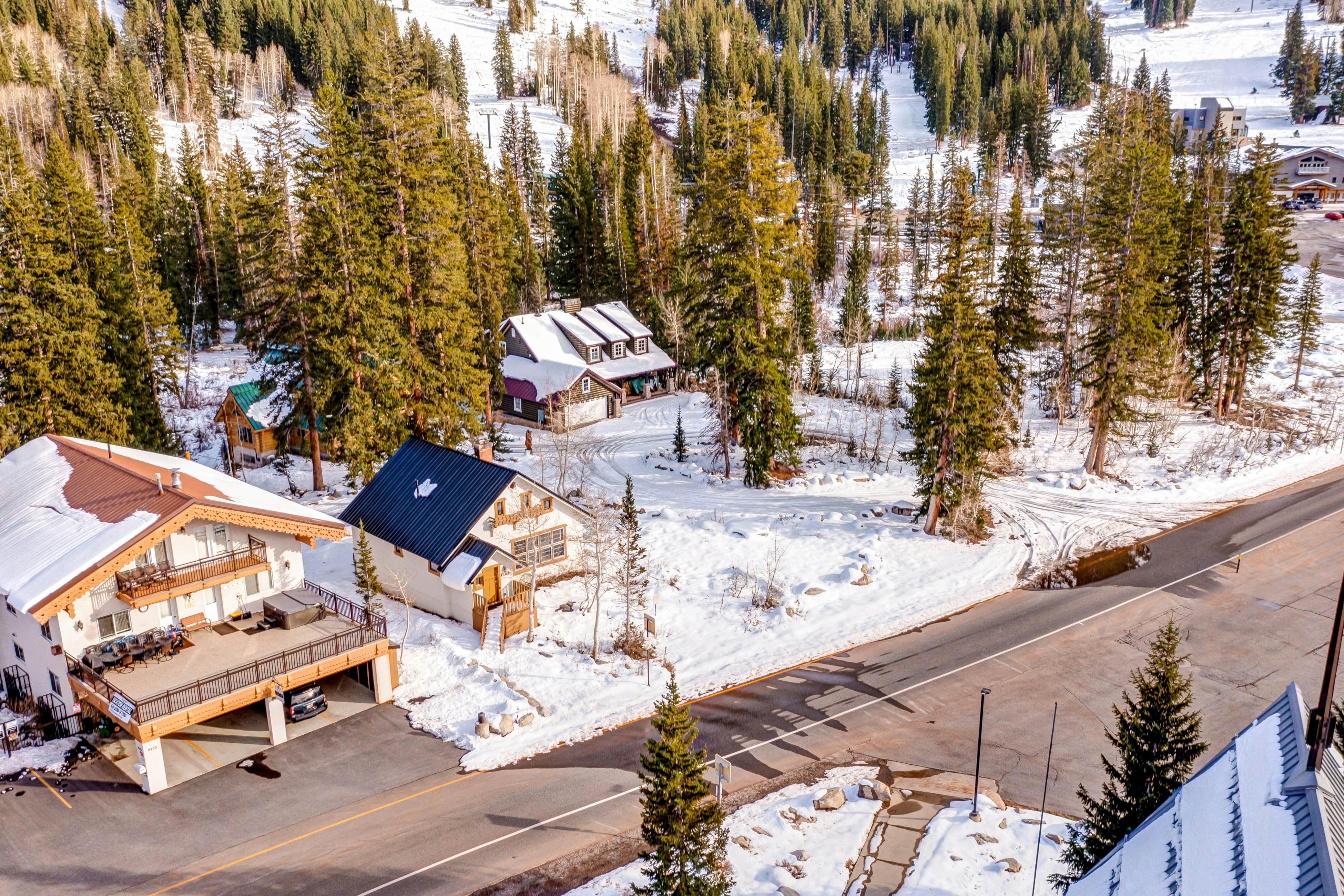 Brighton Sunflower Chalet 