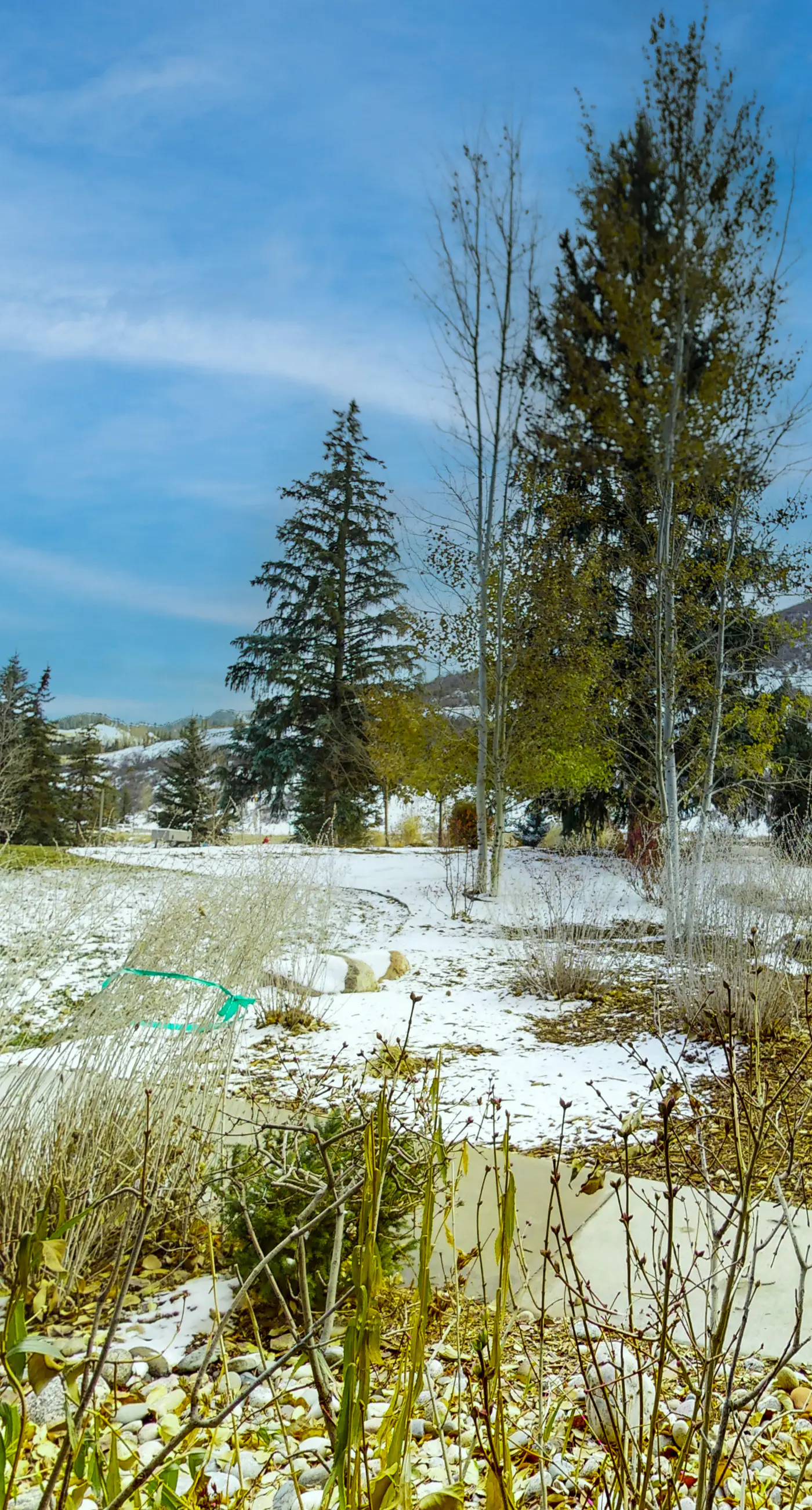 Avon Brookside Escape