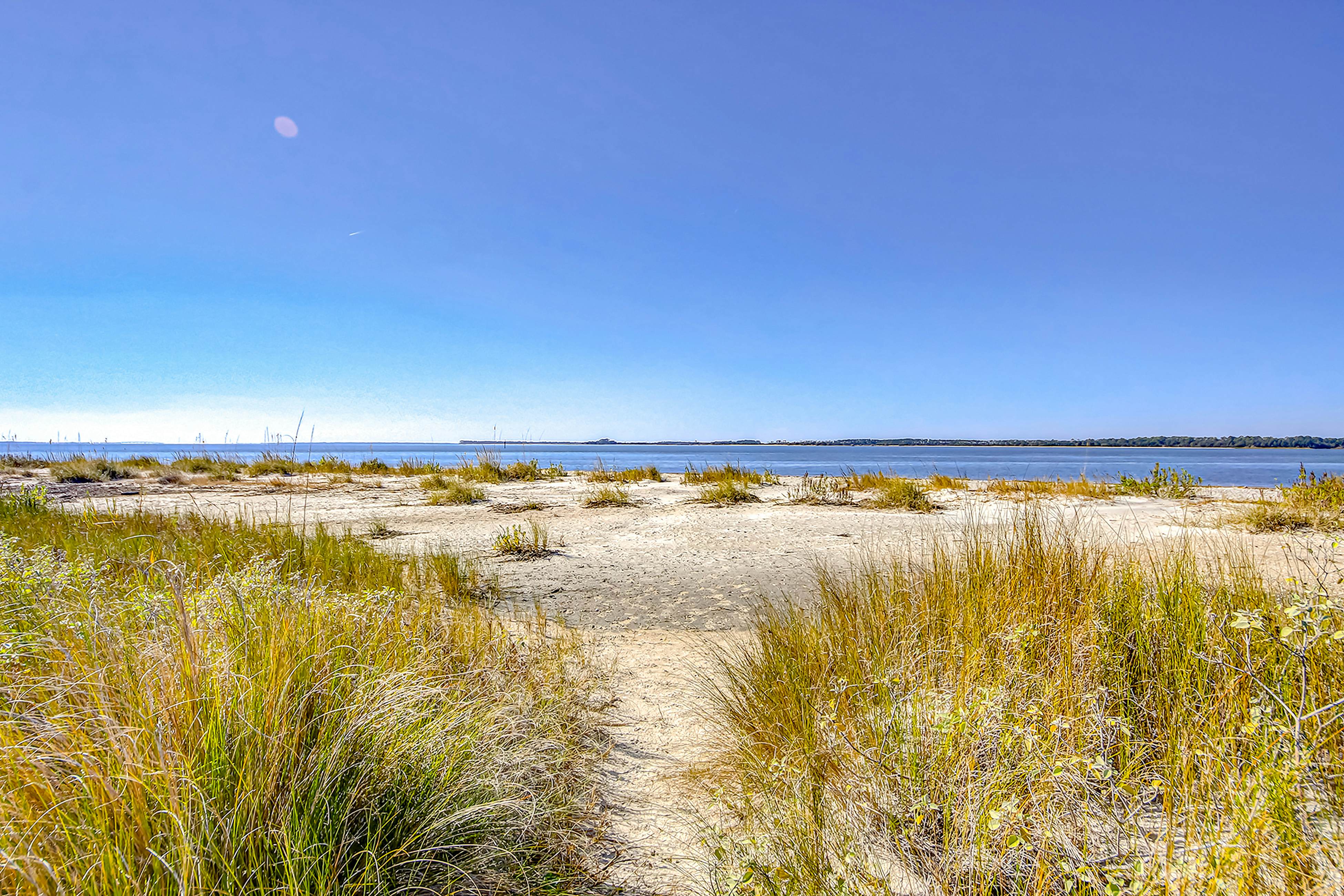 Dolphin Watch - A Side