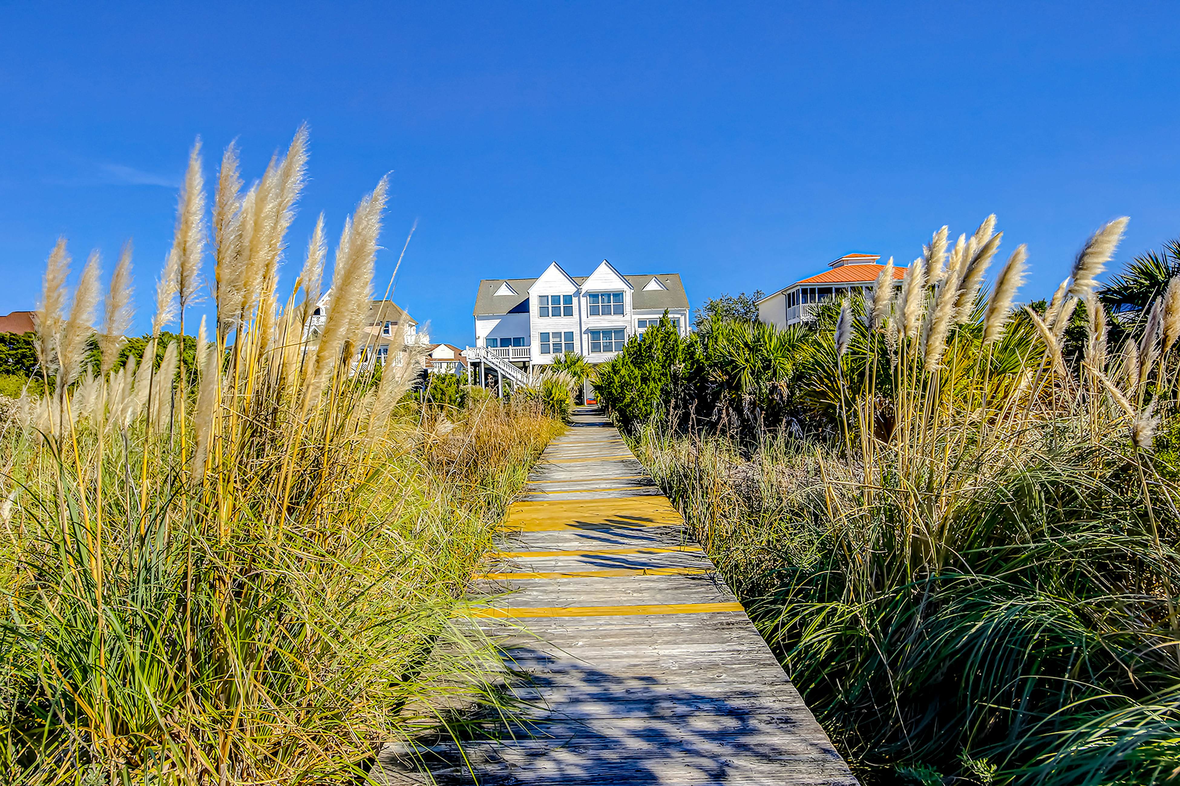 Dolphin Watch - A Side