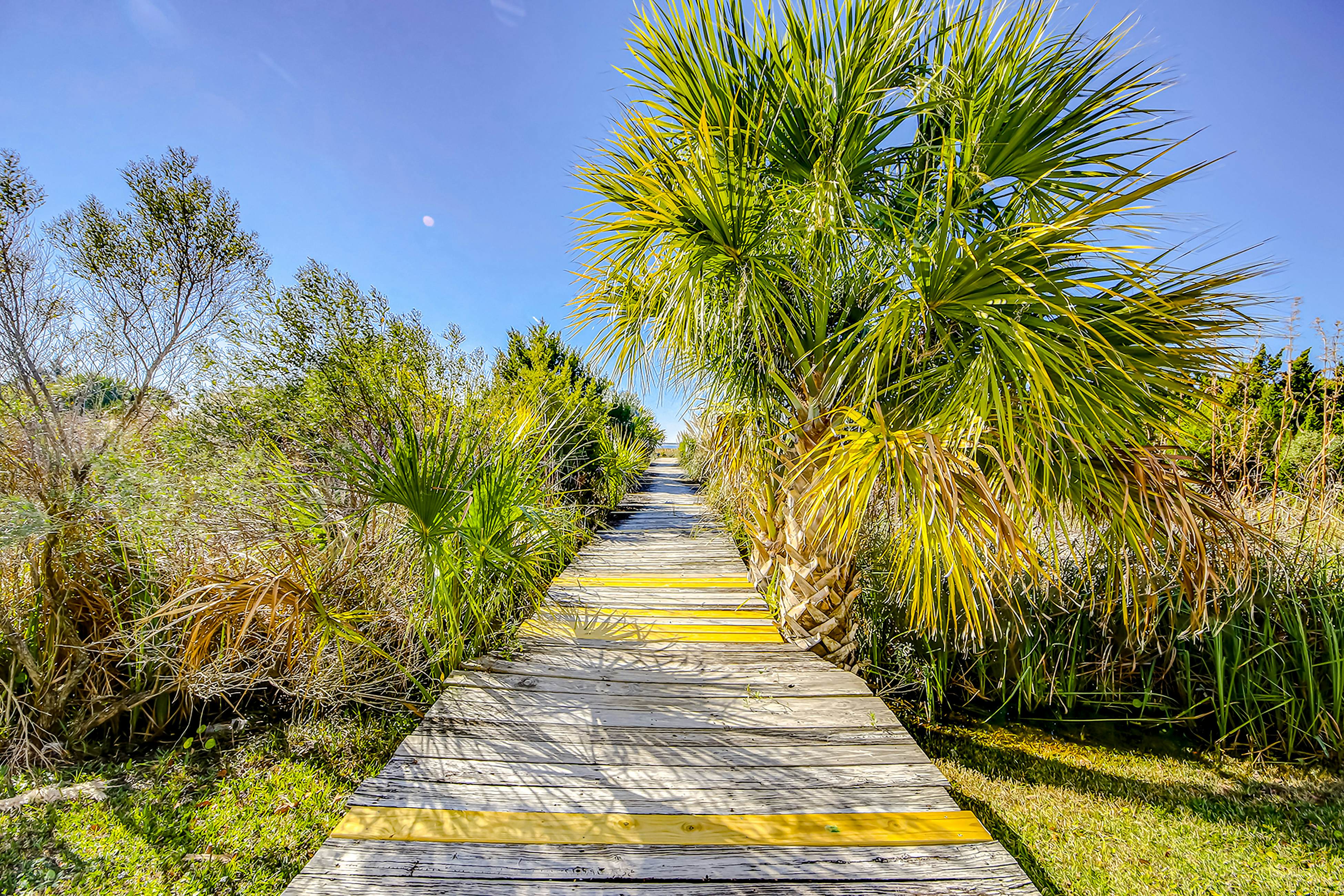 Dolphin Watch - A Side