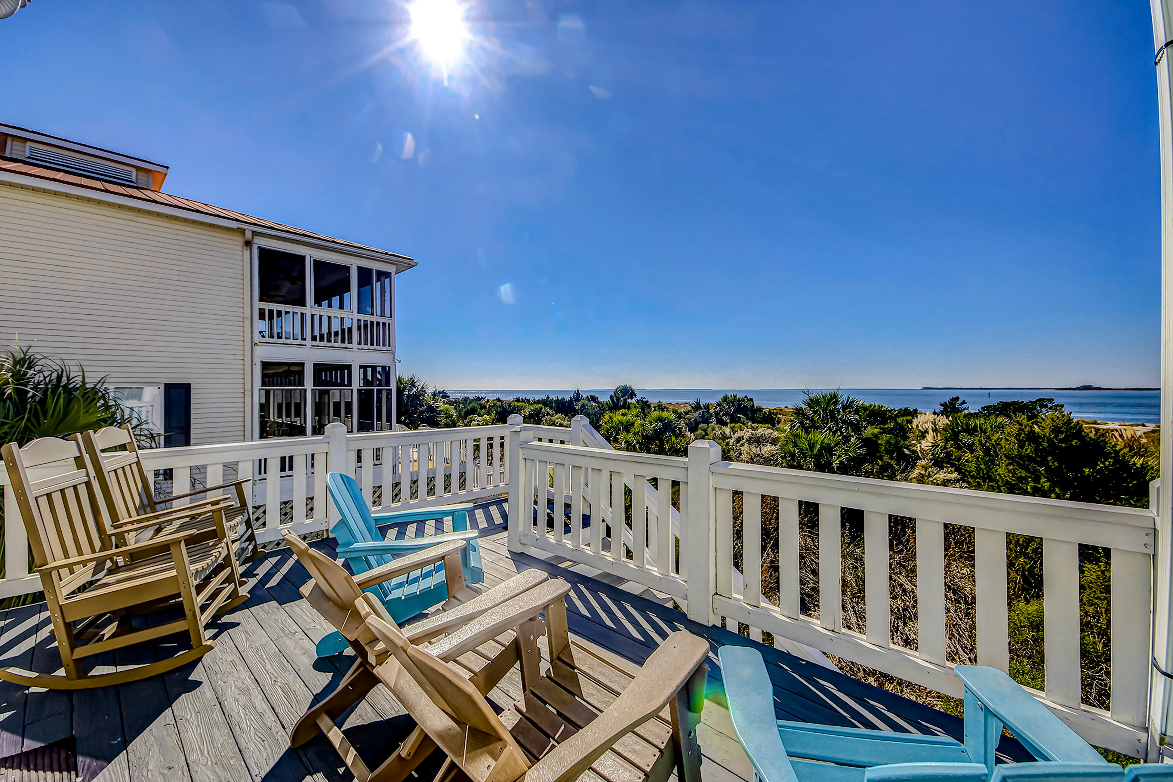 Dolphin Watch - A Side