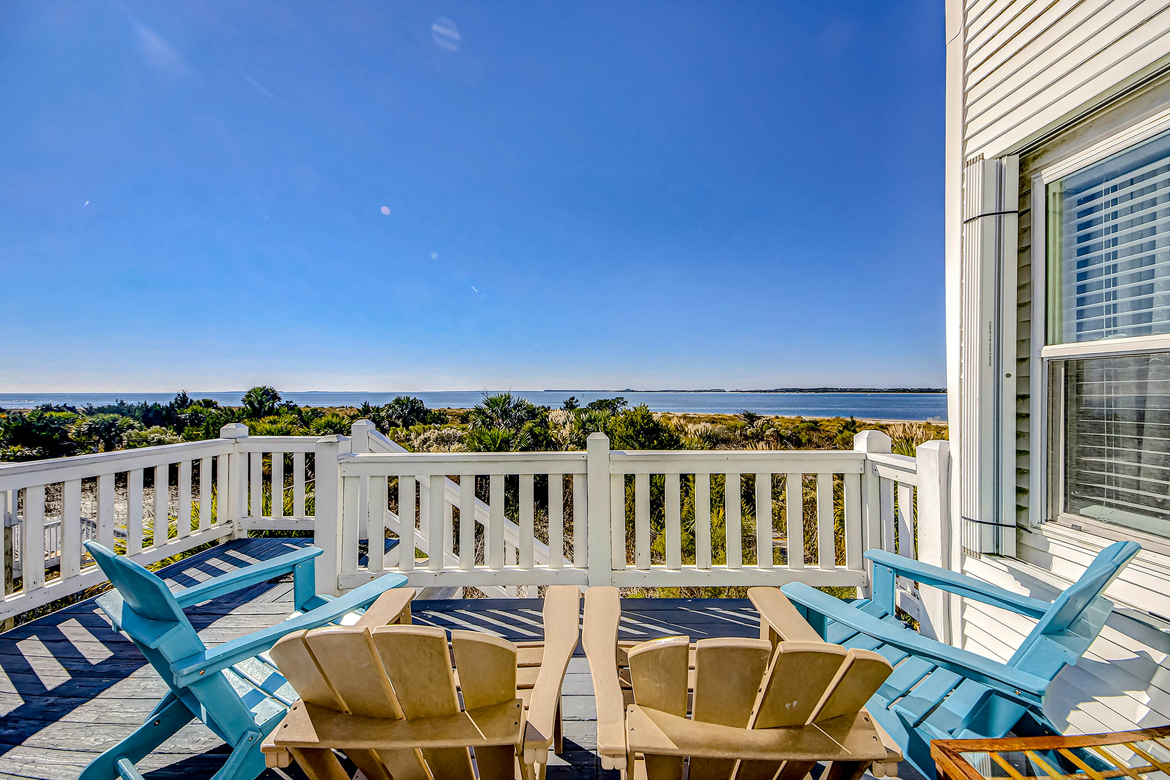 Dolphin Watch - A Side