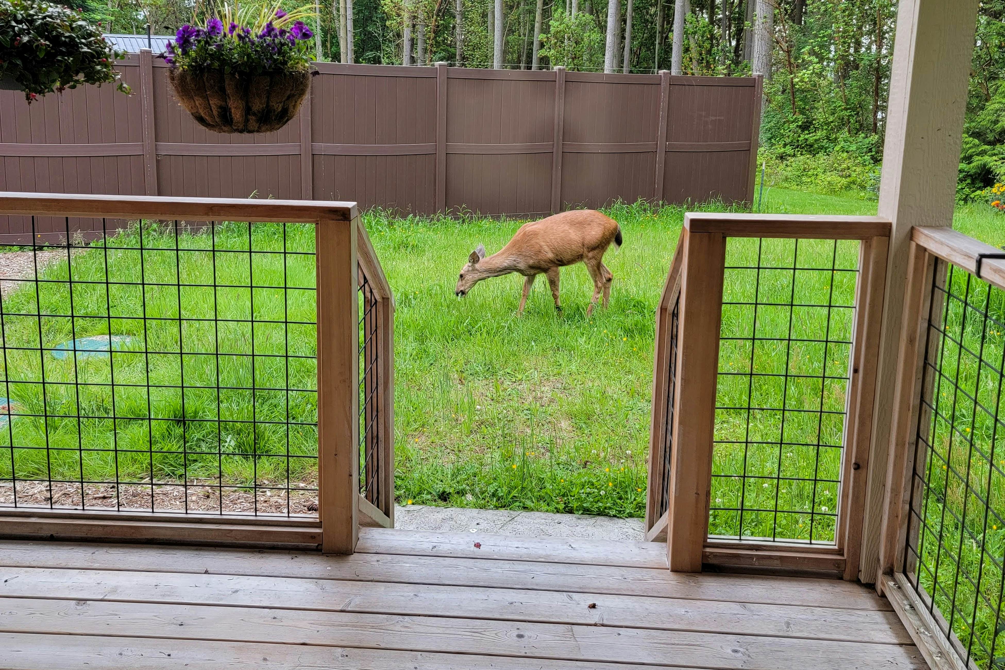 Port Townsend Kala Point