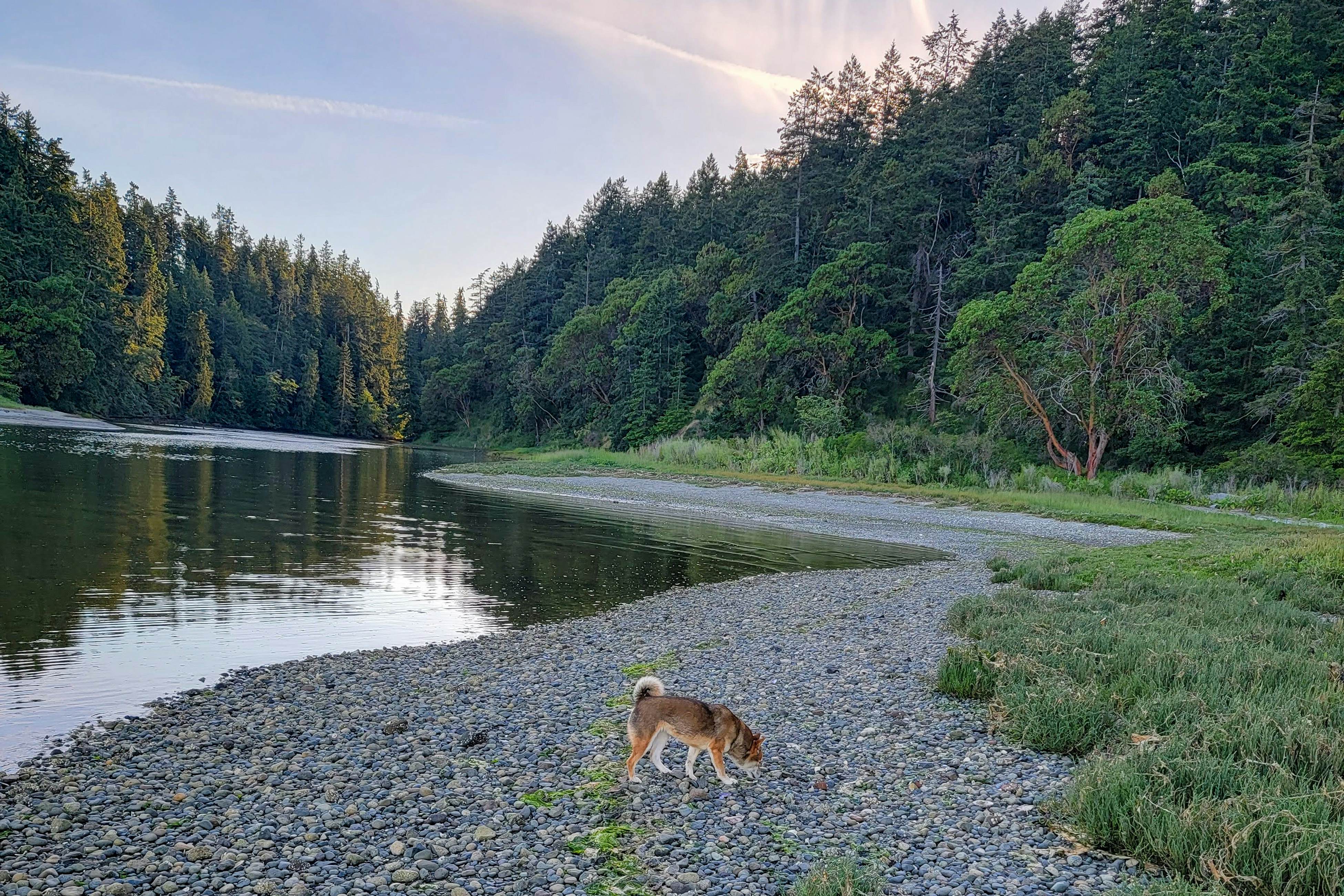 Port Townsend Kala Point