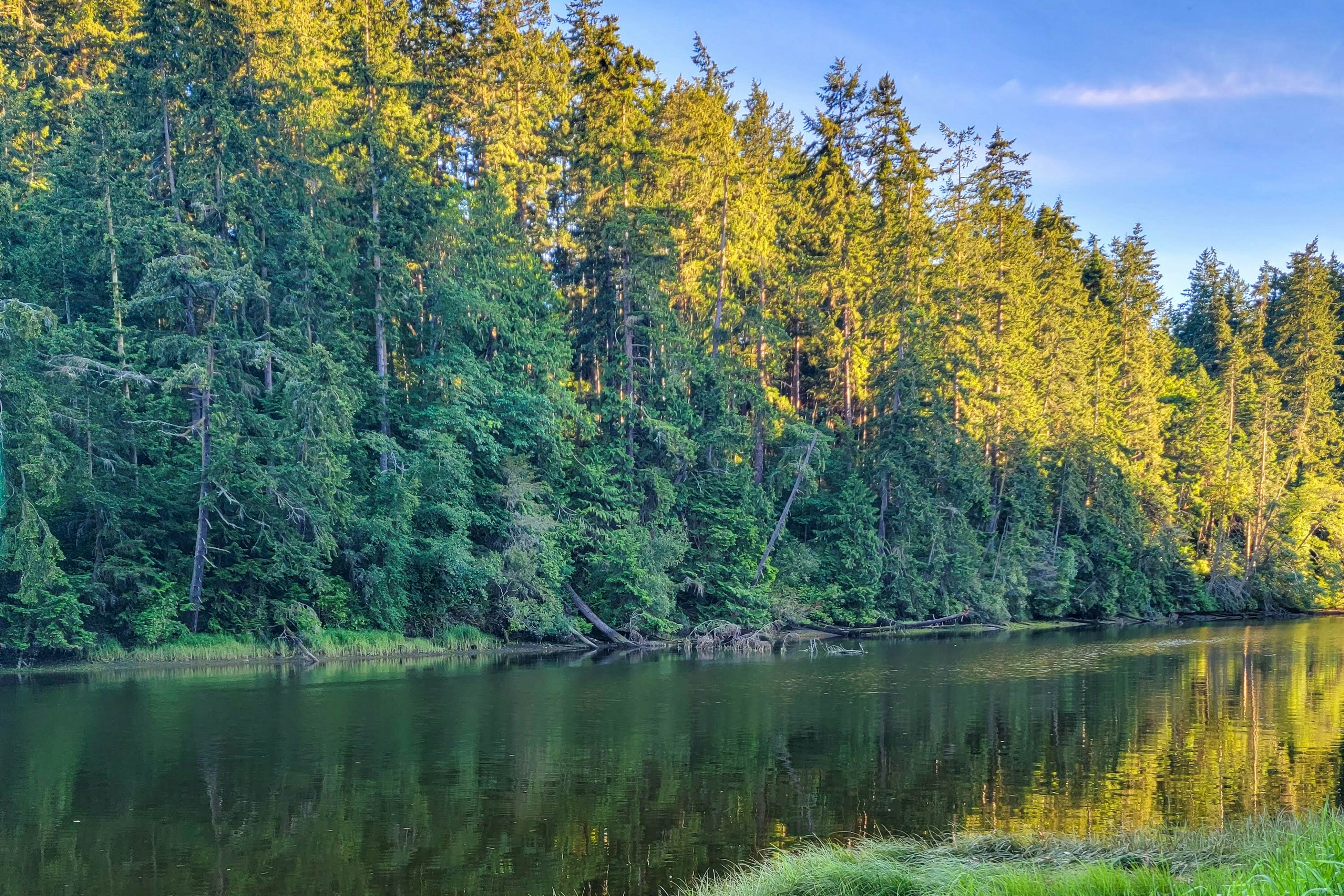 Port Townsend Kala Point