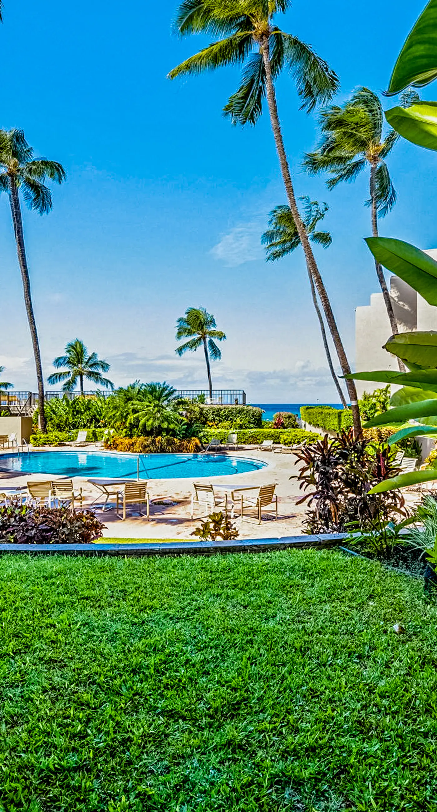 Kaanapali Beach Rentals, Vacation Rentals, Condo Rentals Vacasa