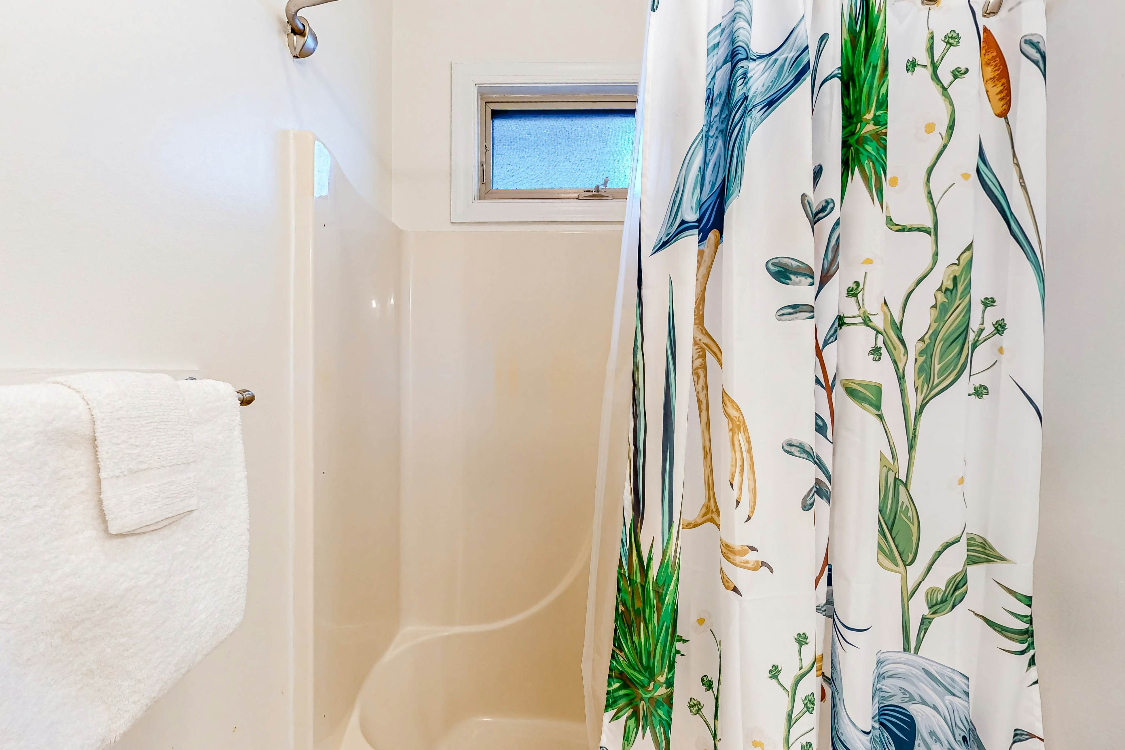 Turtle Shores-22 Boston