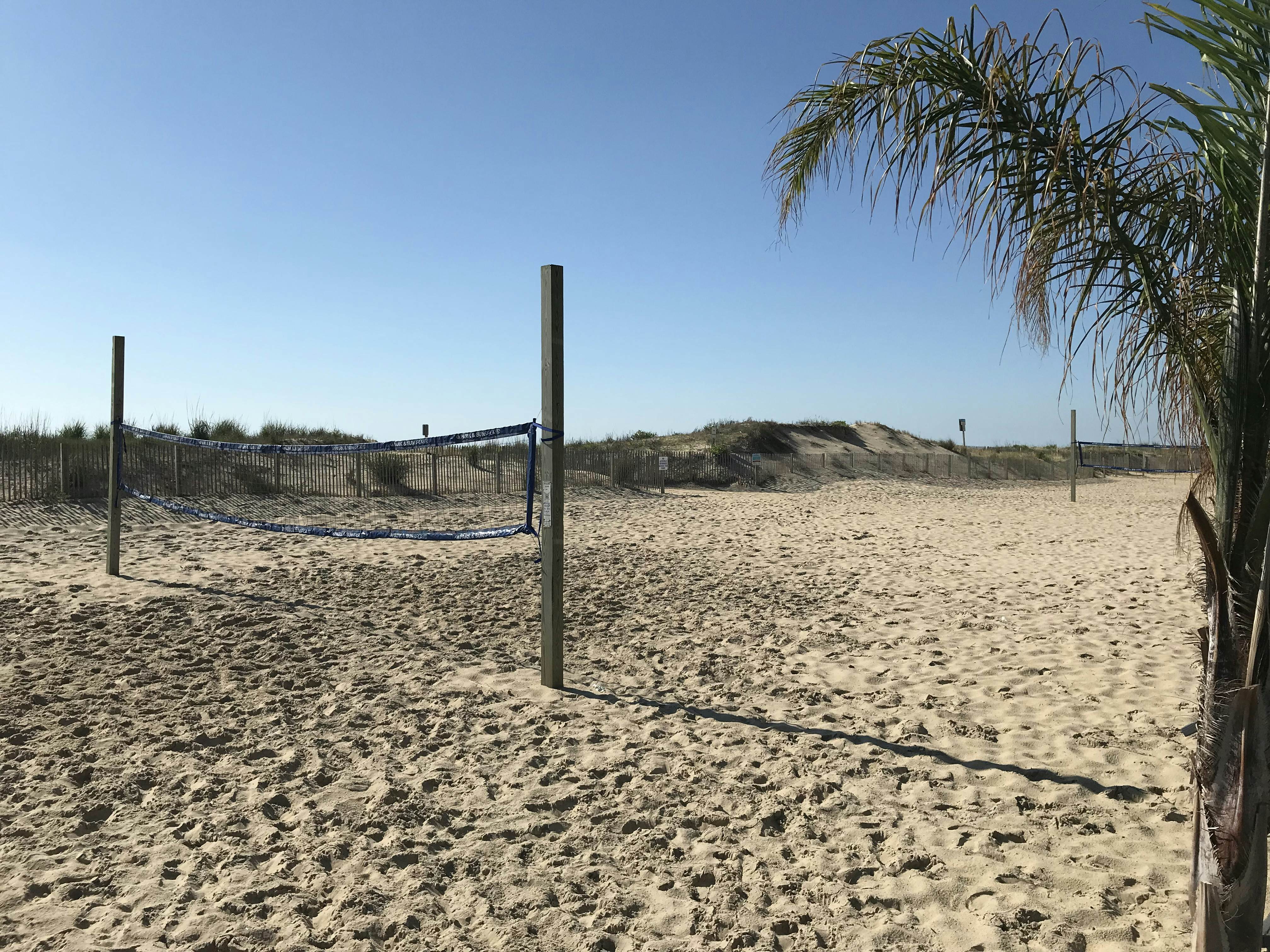 Turtle Shores-22 Boston