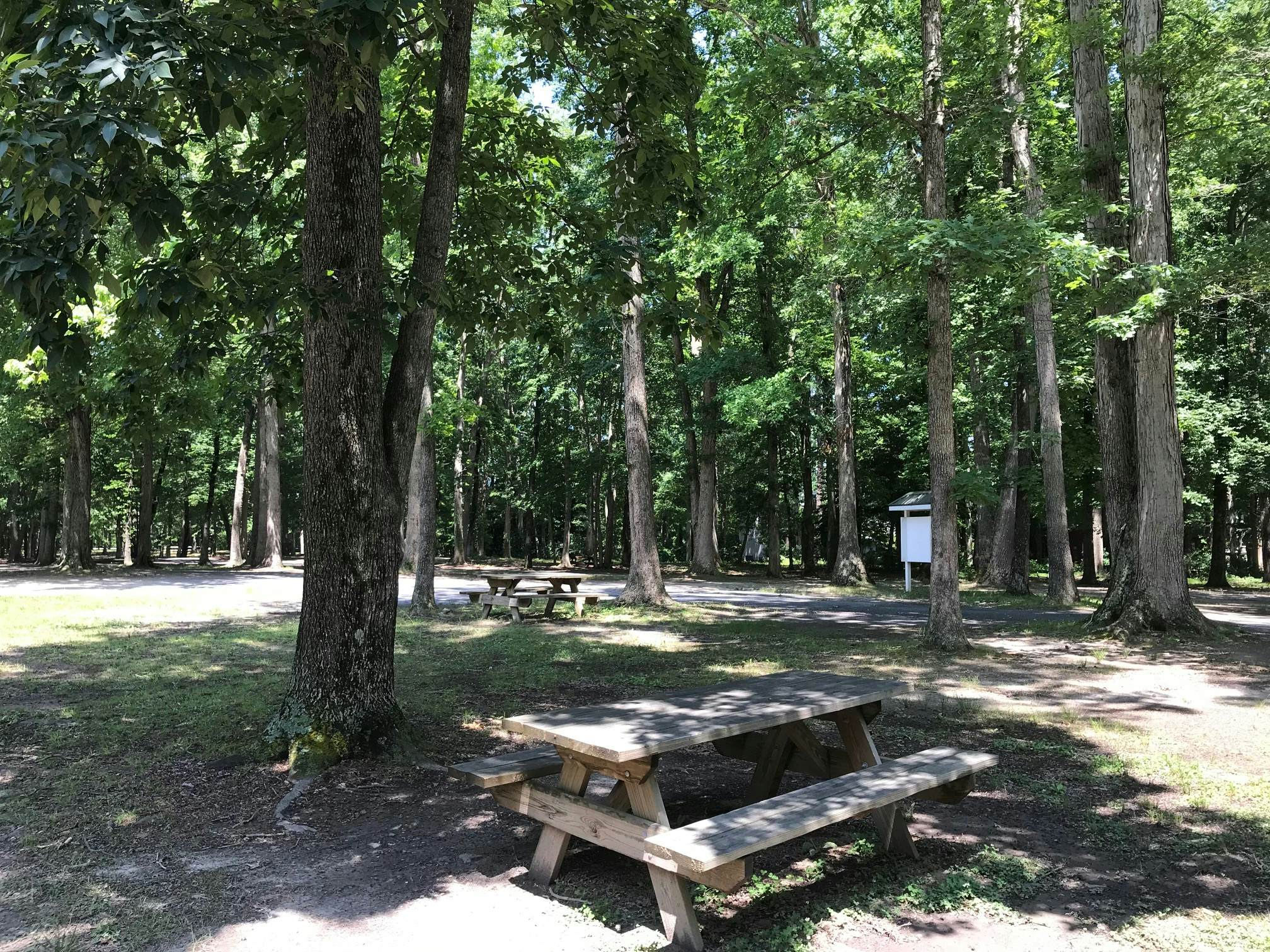 Turtle Shores-22 Boston