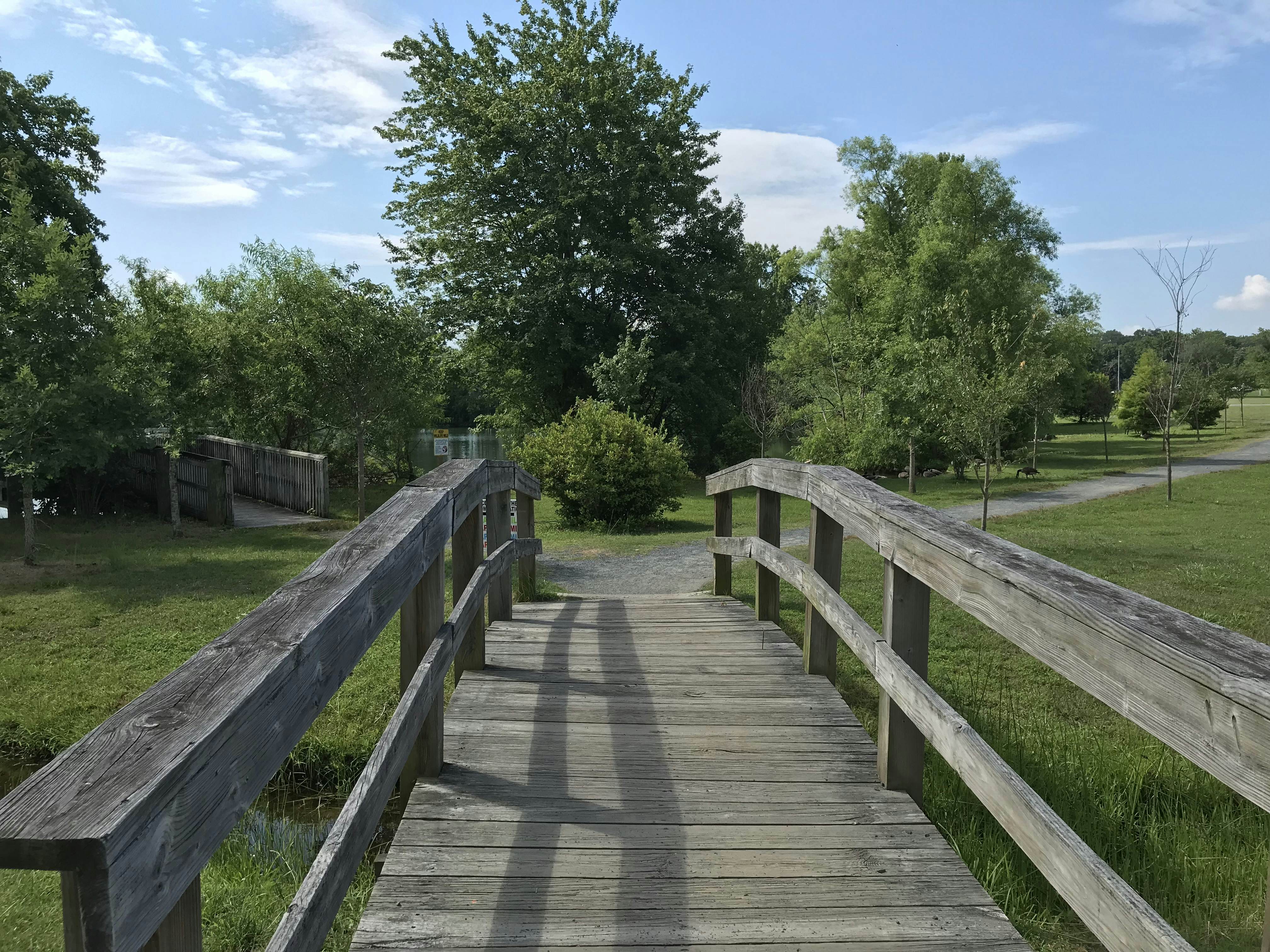 Turtle Shores-22 Boston