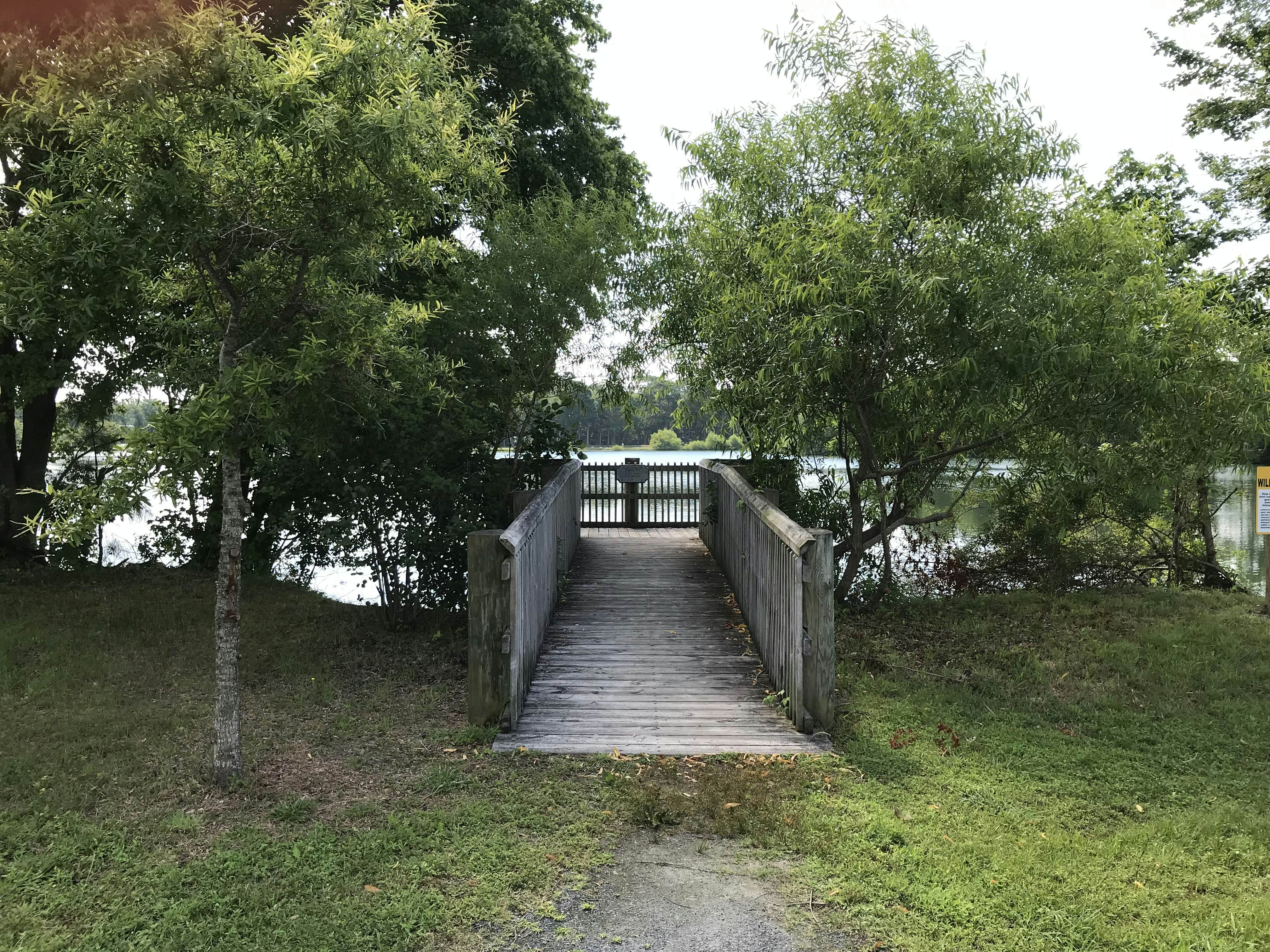 Turtle Shores-22 Boston