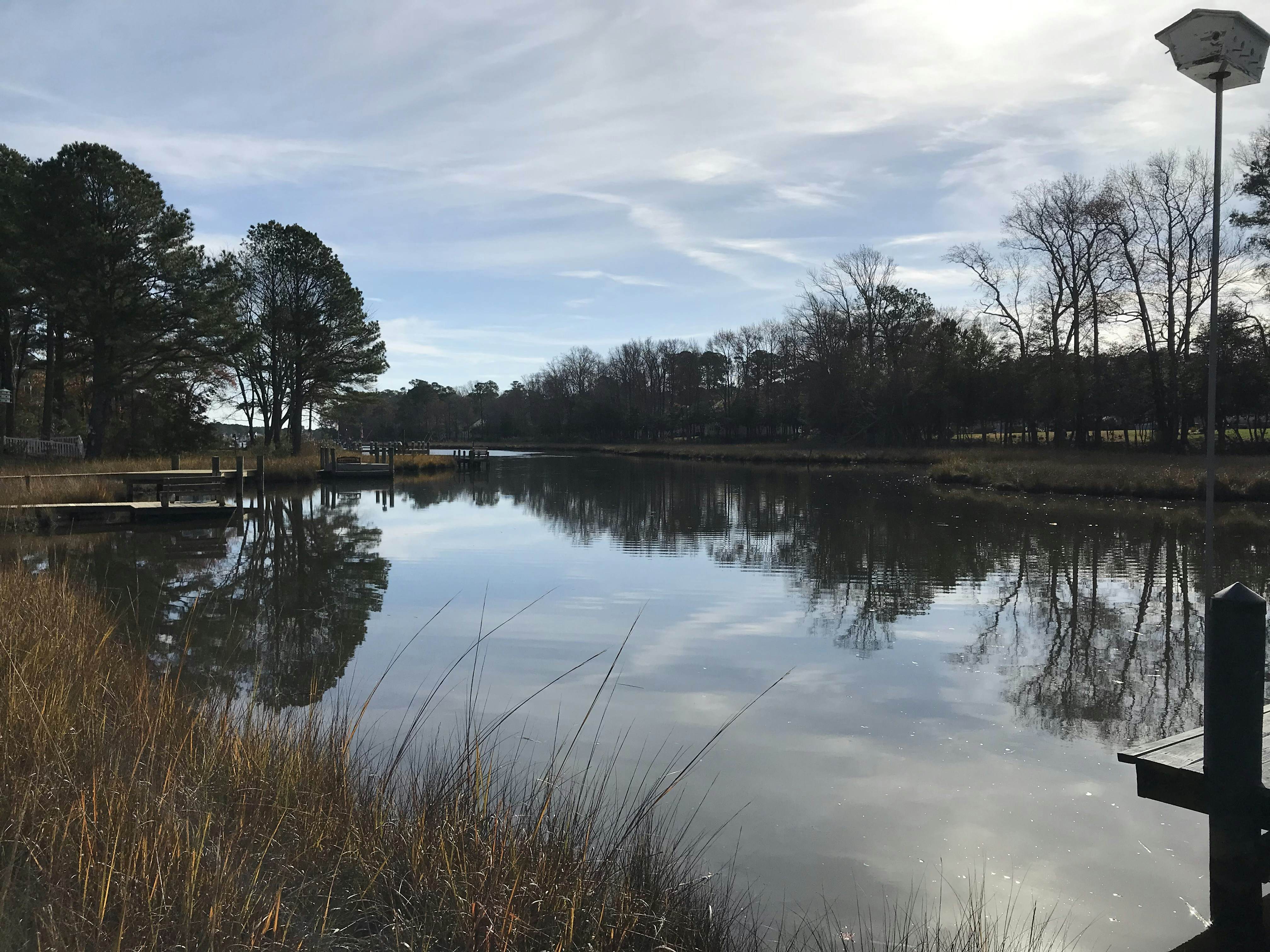 Turtle Shores-22 Boston