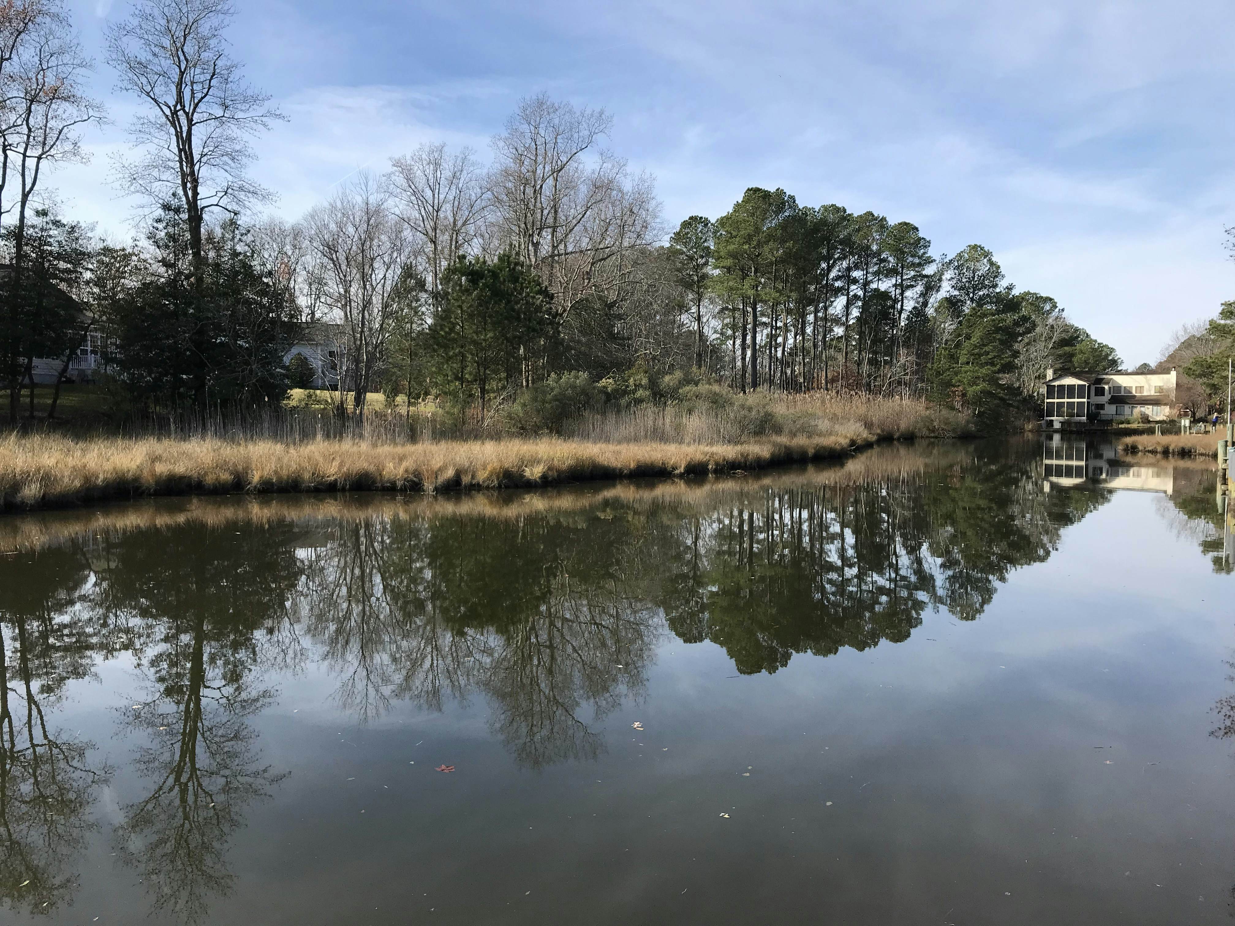 Turtle Shores-22 Boston