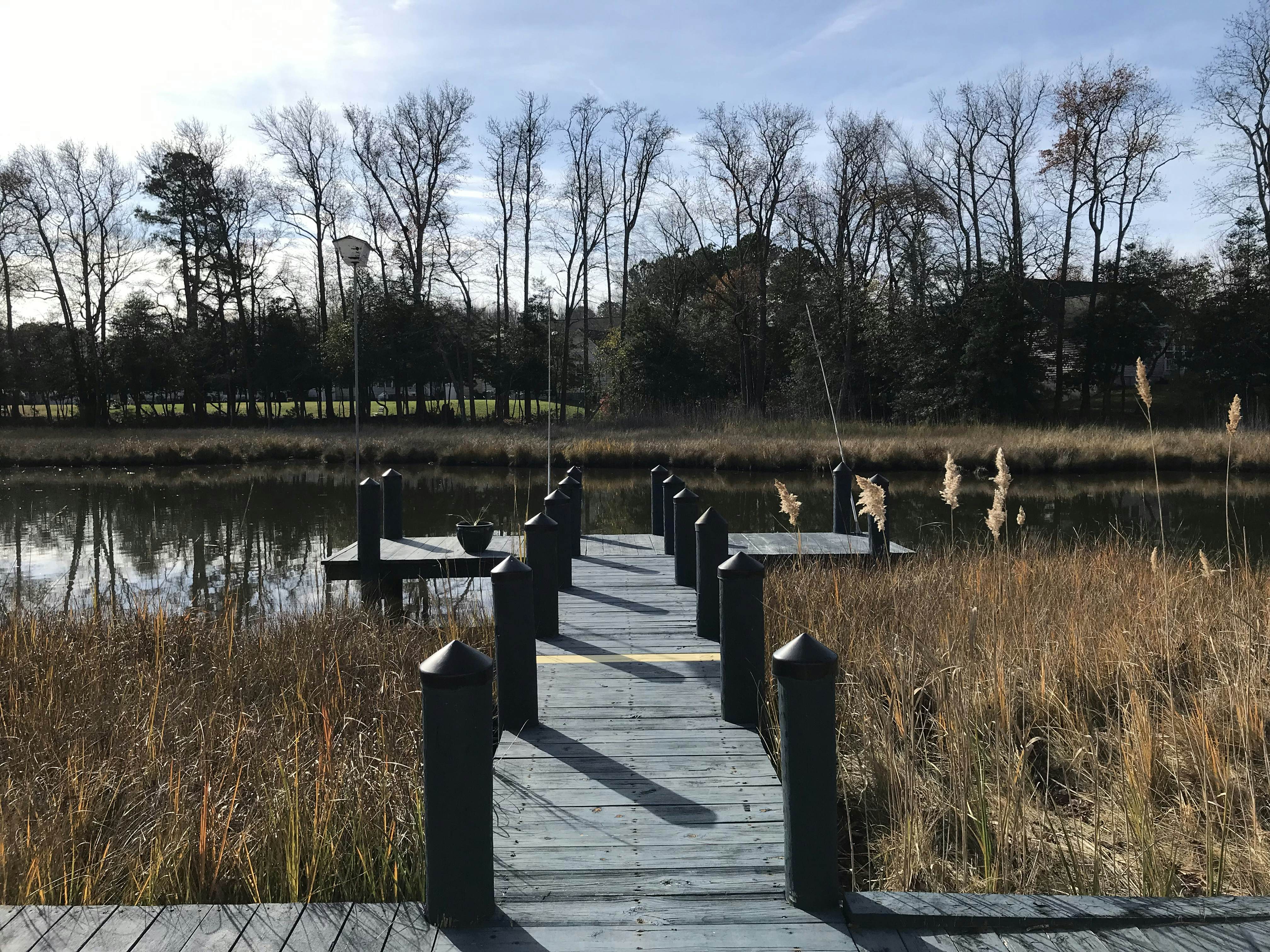 Turtle Shores-22 Boston