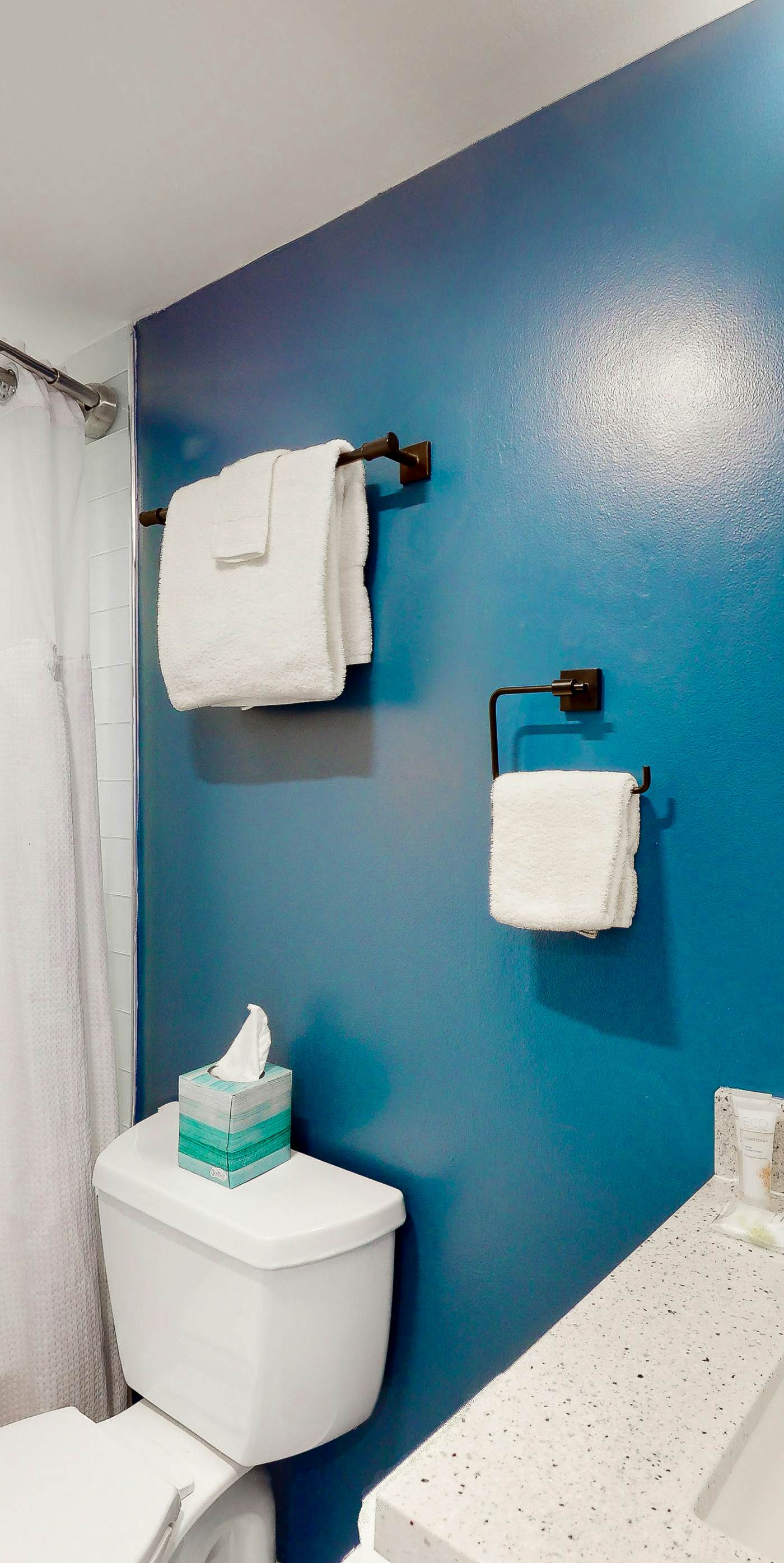 Fountainhead Towers 1004