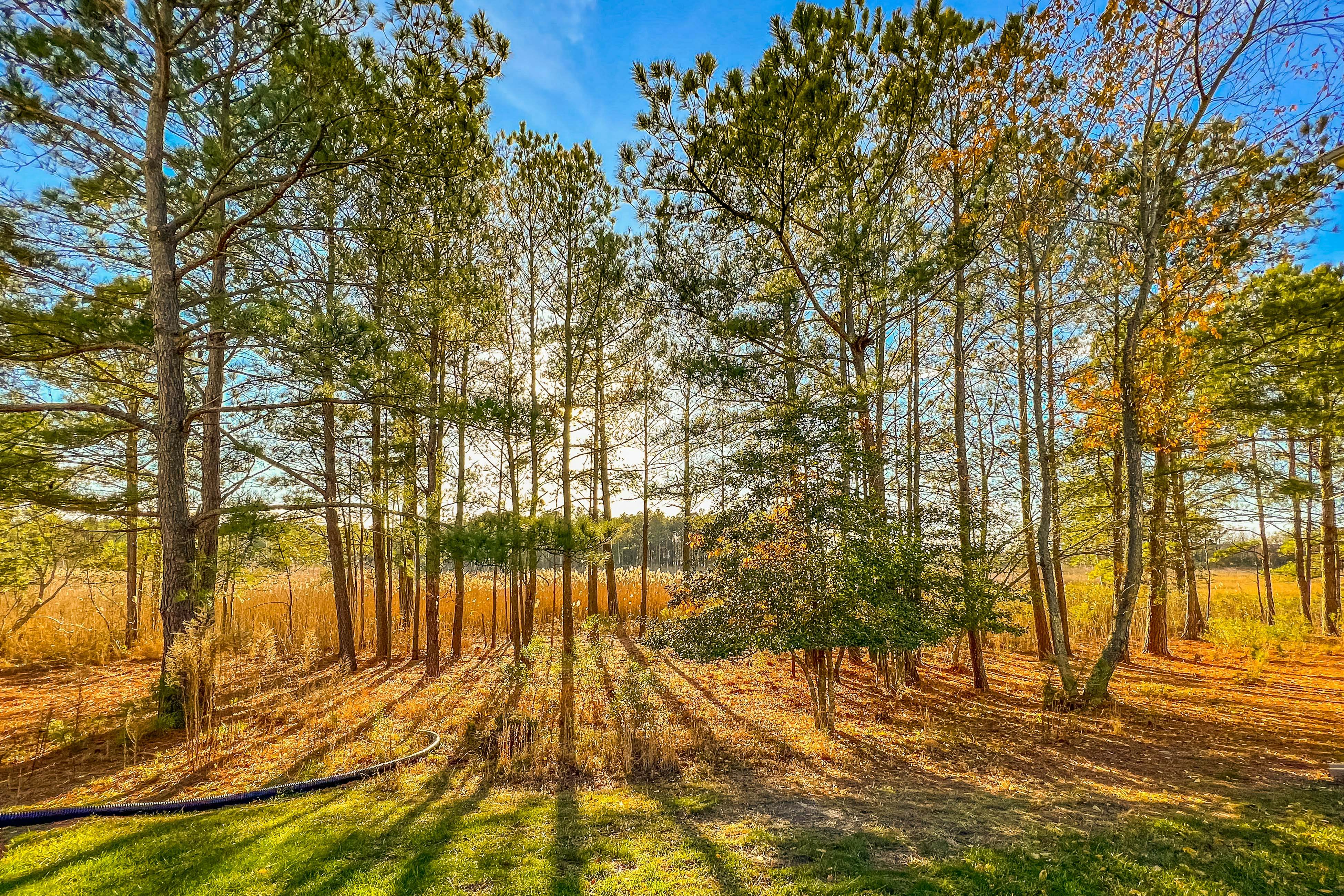 Bethany Bay - 37514 Pettinaro Dr # 9404