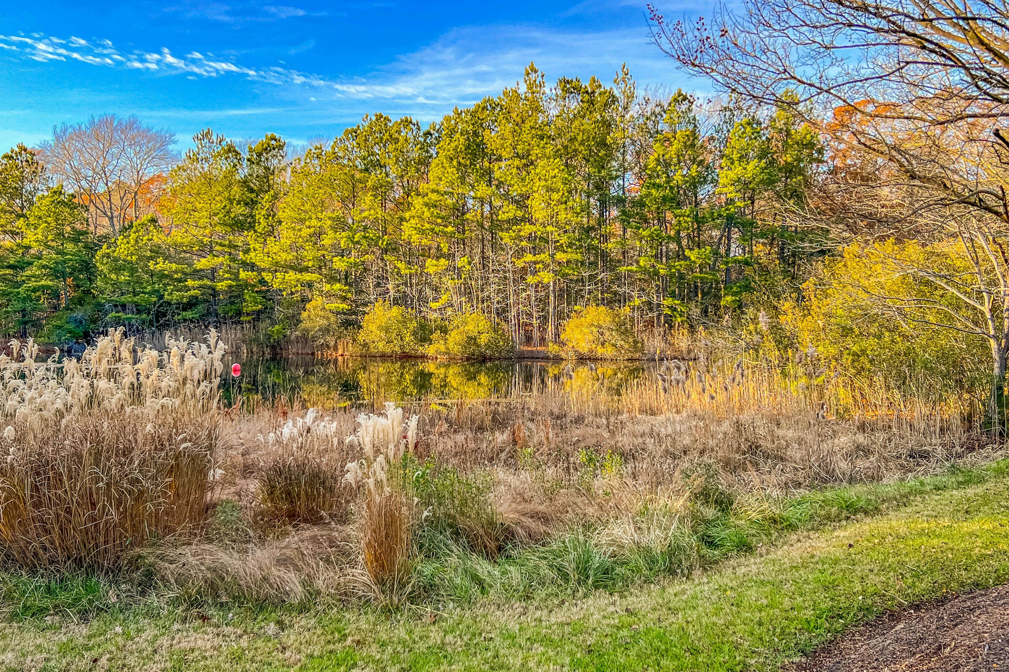 Bethany Bay - 37514 Pettinaro Dr # 9404