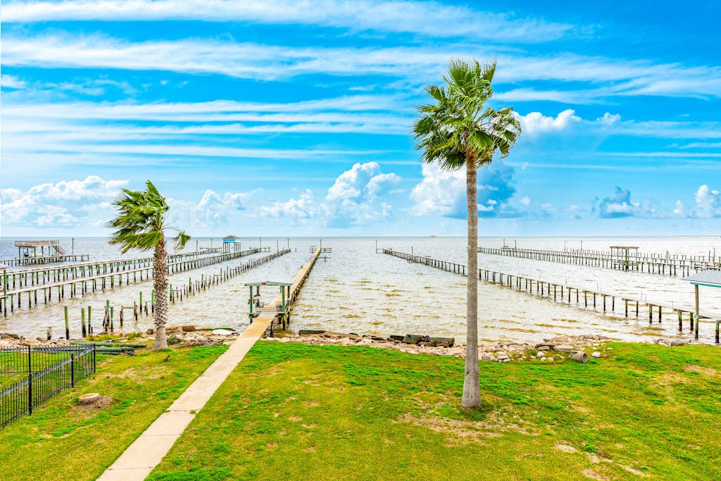 Reel Paradise